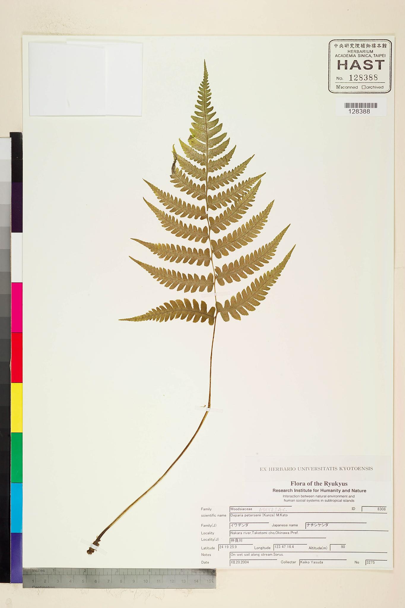 Sample image for viewer