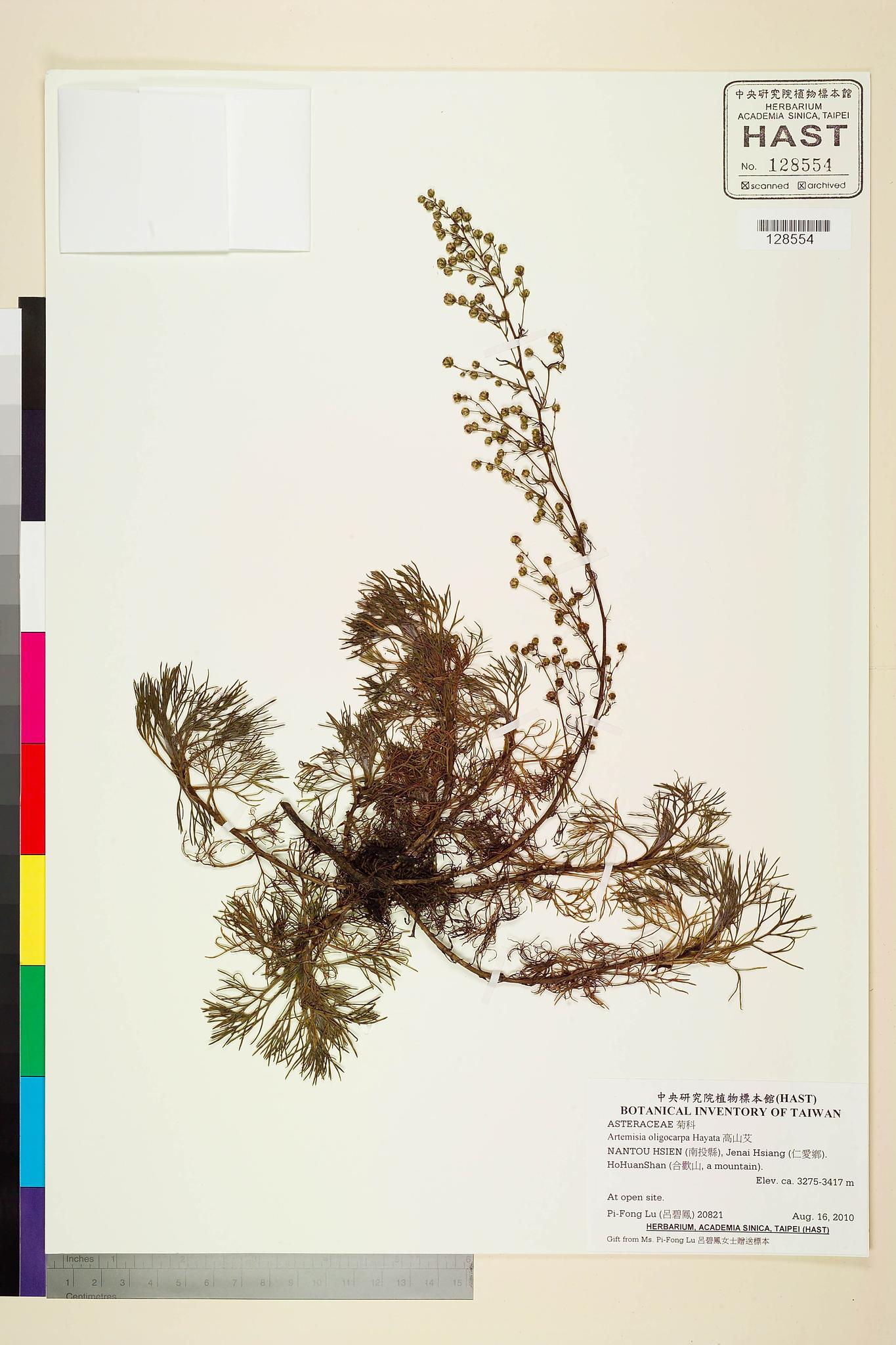 Sample image for viewer