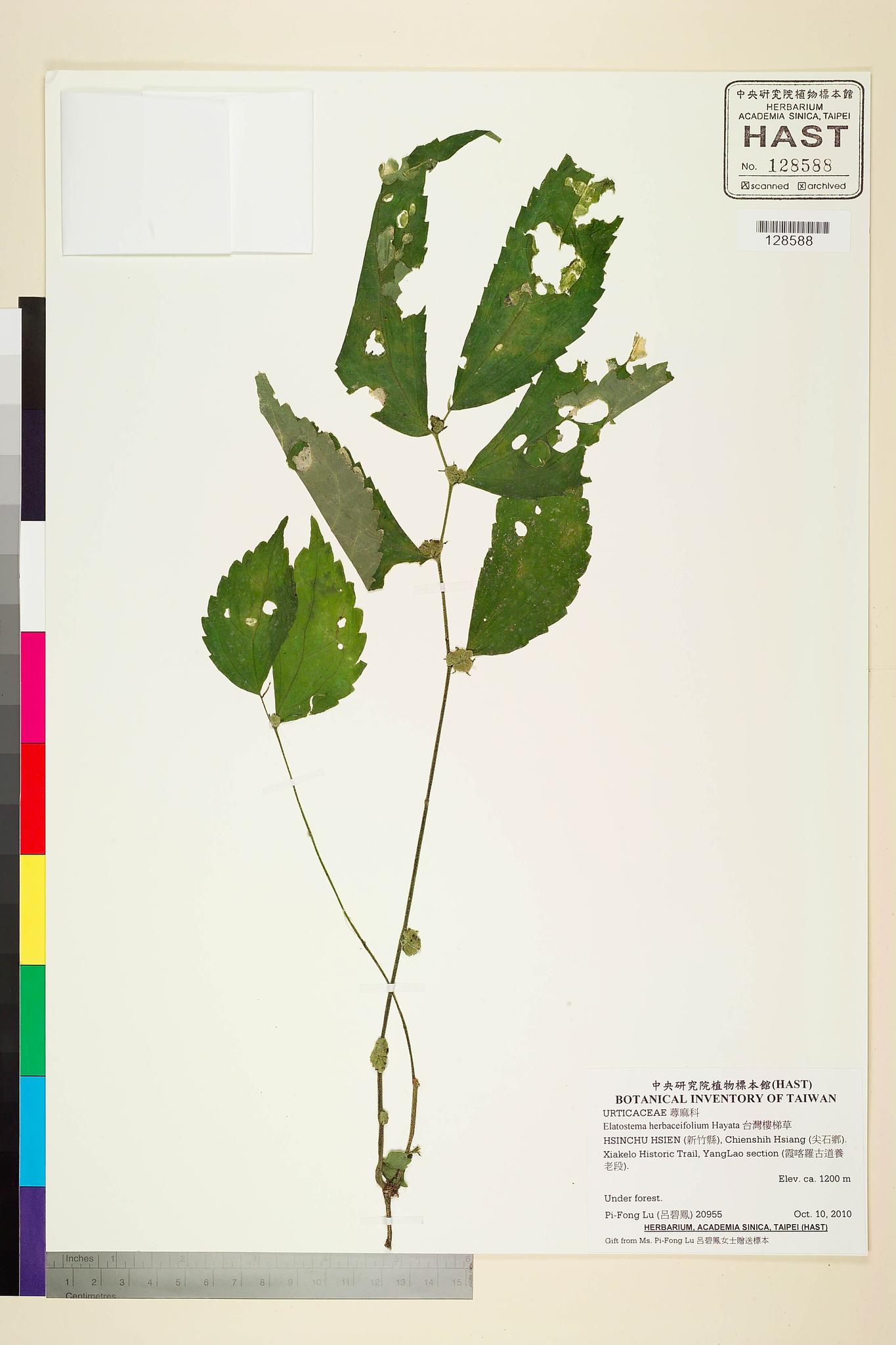 Sample image for viewer