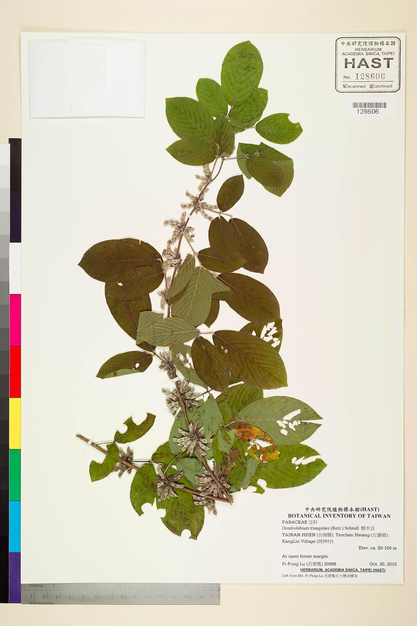 Sample image for viewer