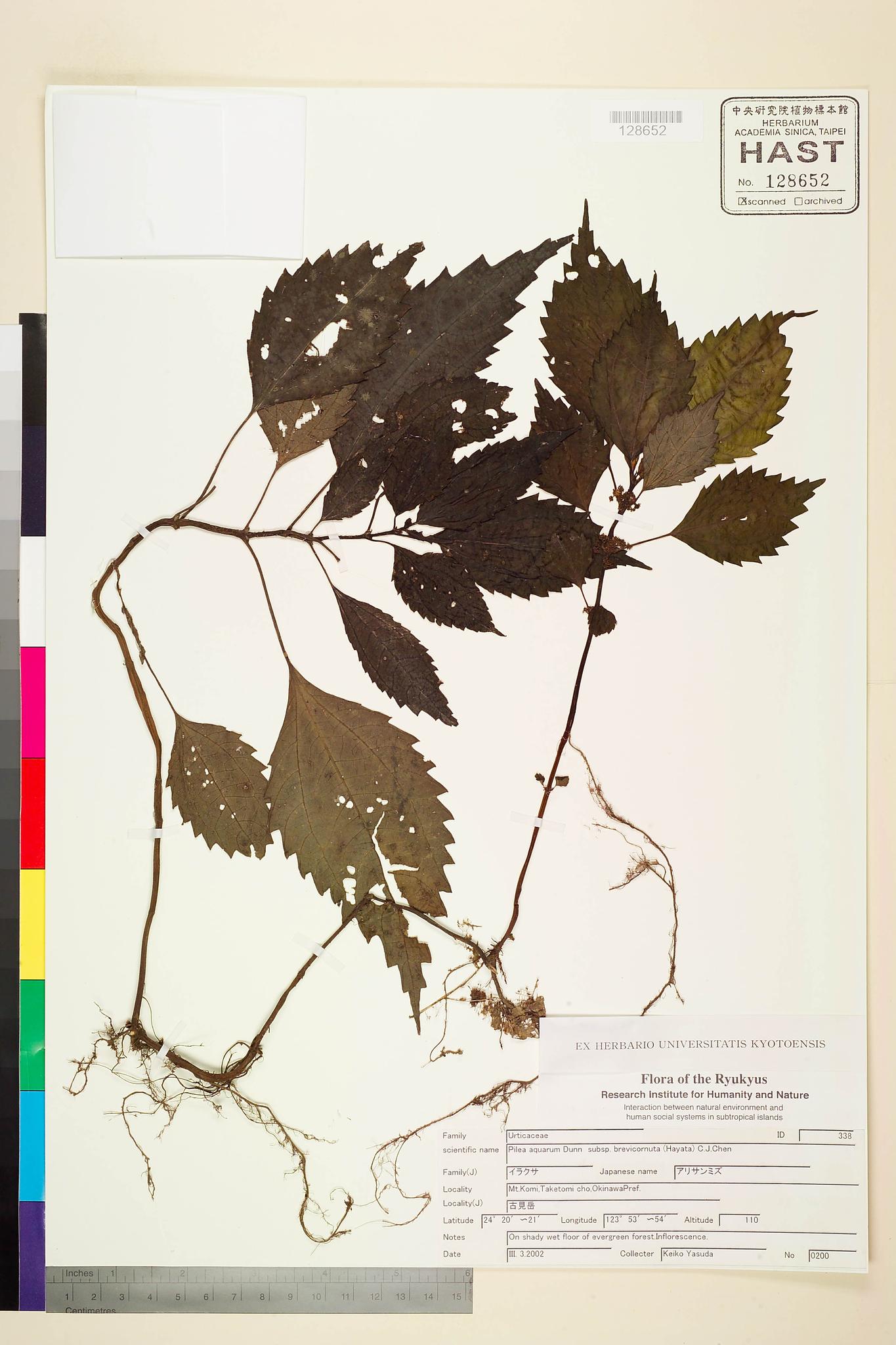 Sample image for viewer