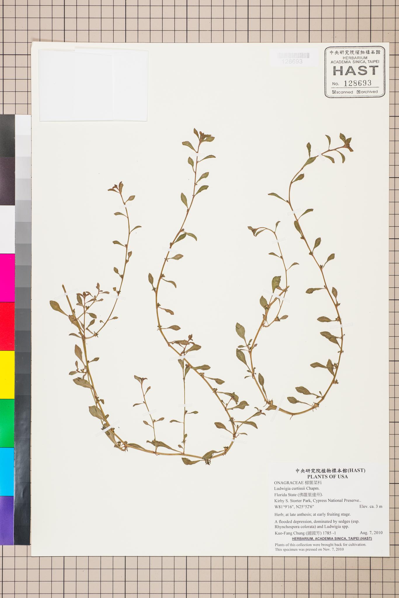 Sample image for viewer