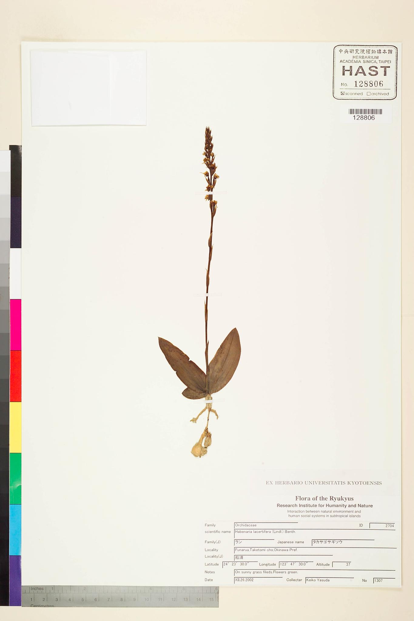 Sample image for viewer