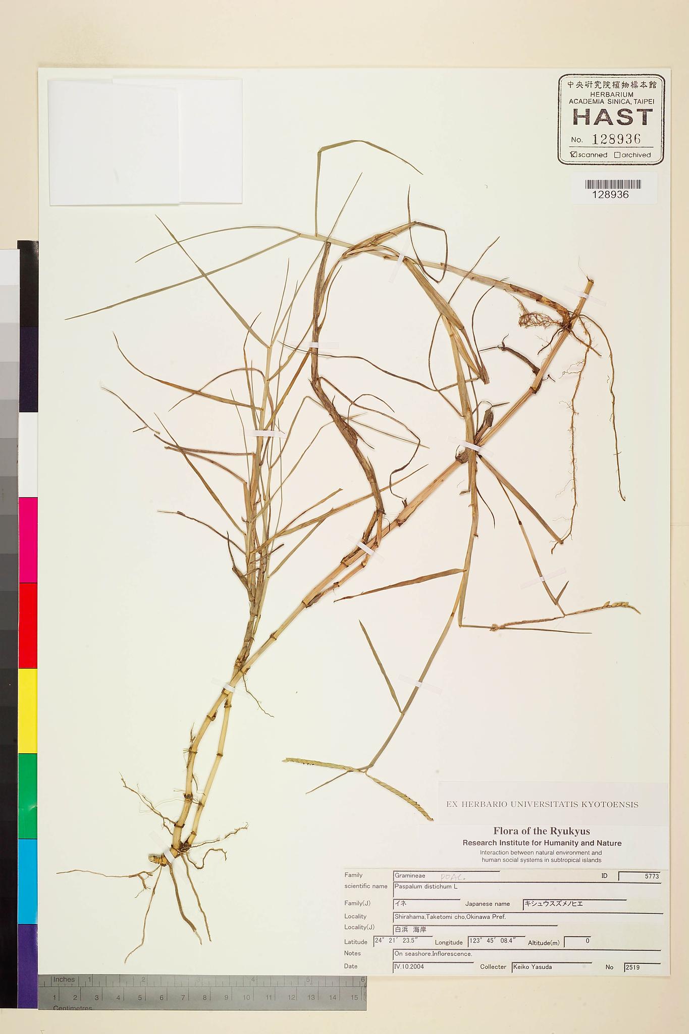 Sample image for viewer