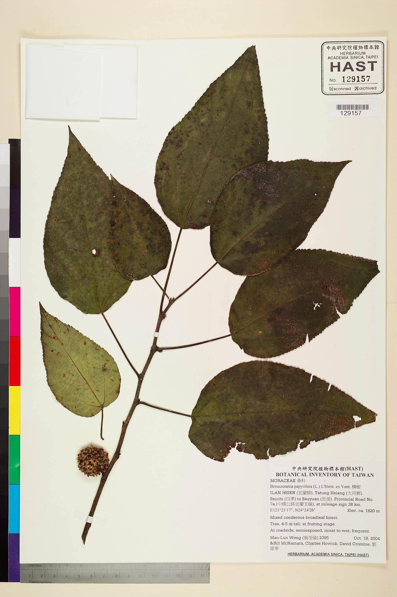 Sample image for viewer