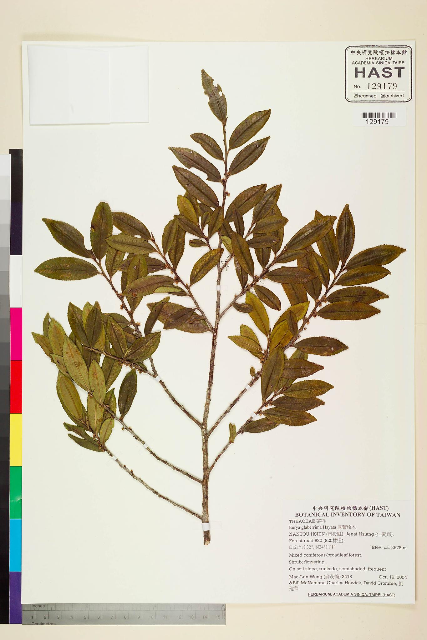 Sample image for viewer