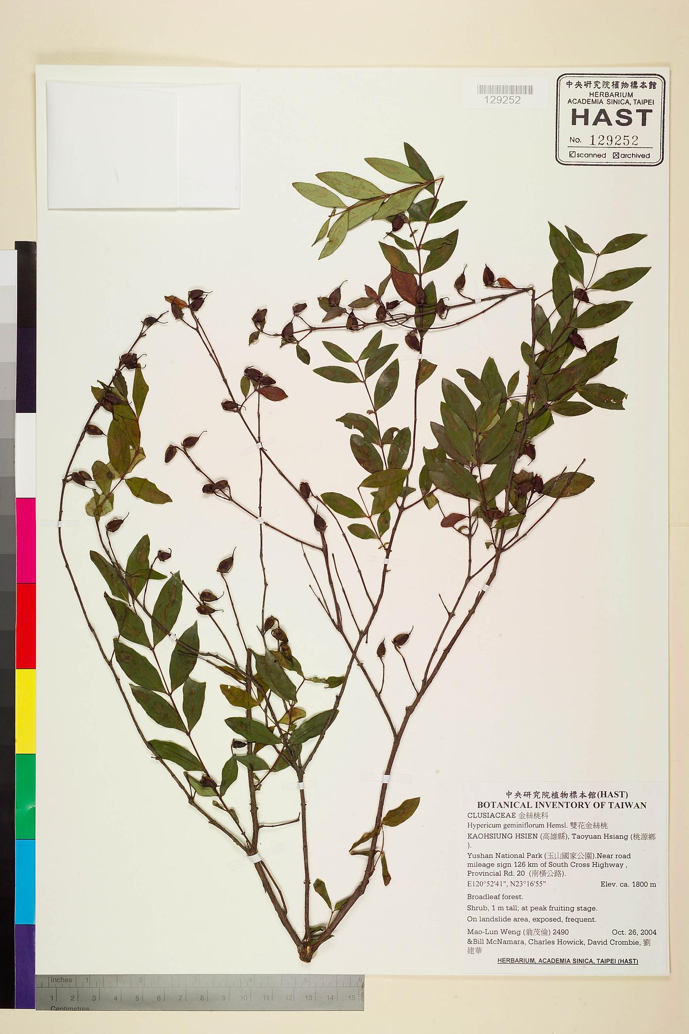 Sample image for viewer