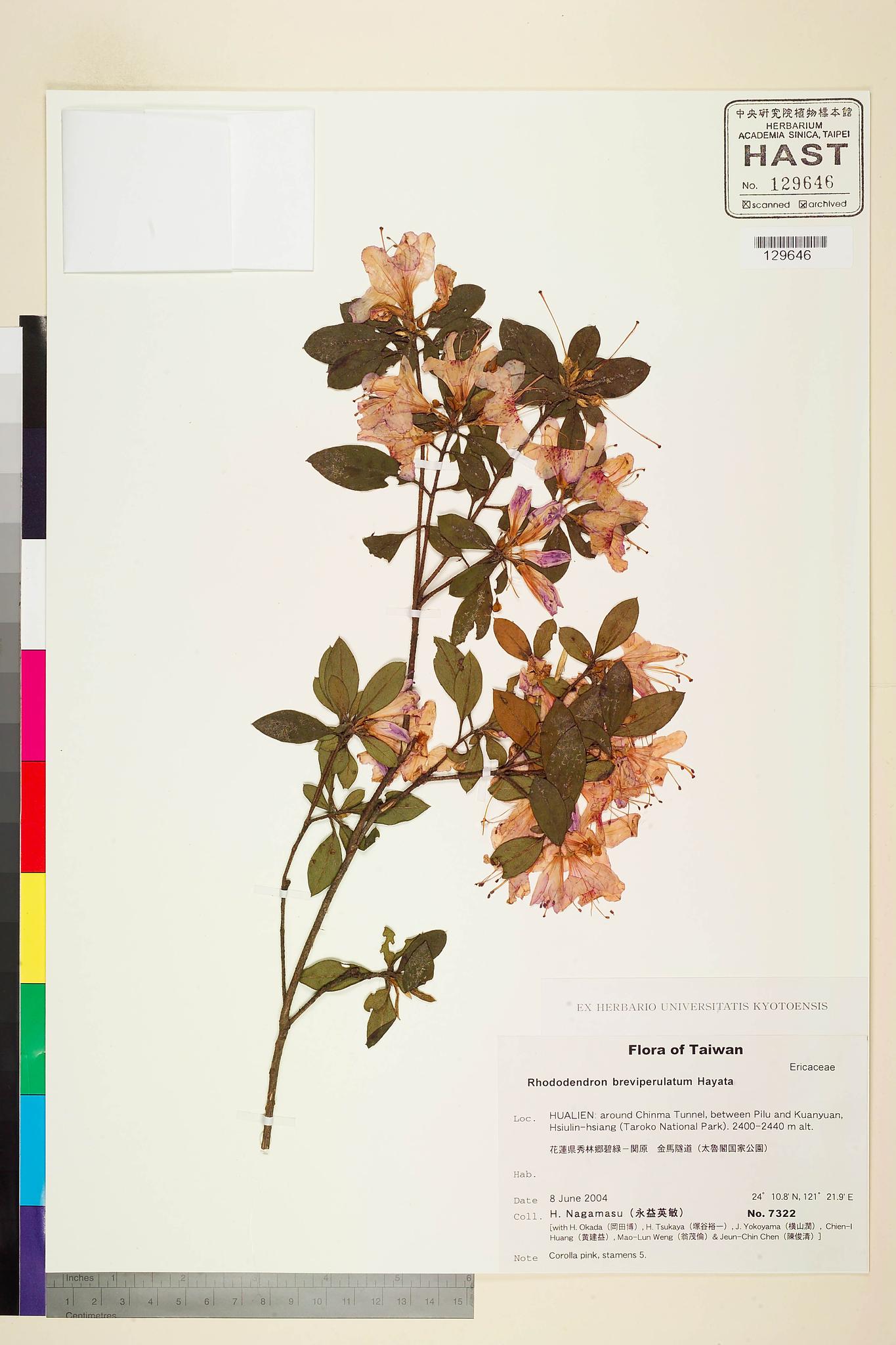 Sample image for viewer