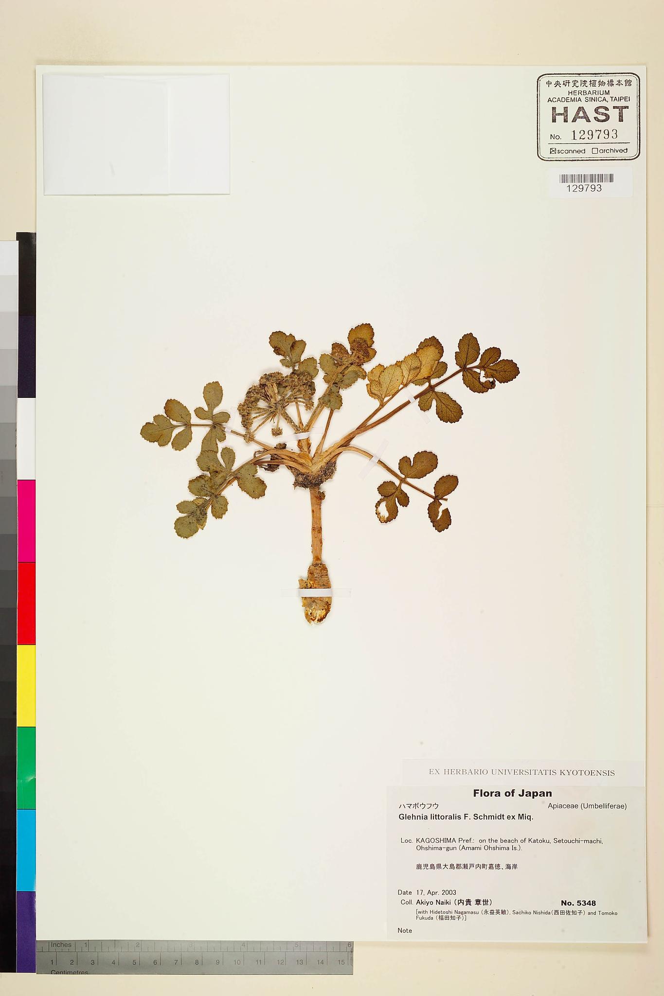 Sample image for viewer