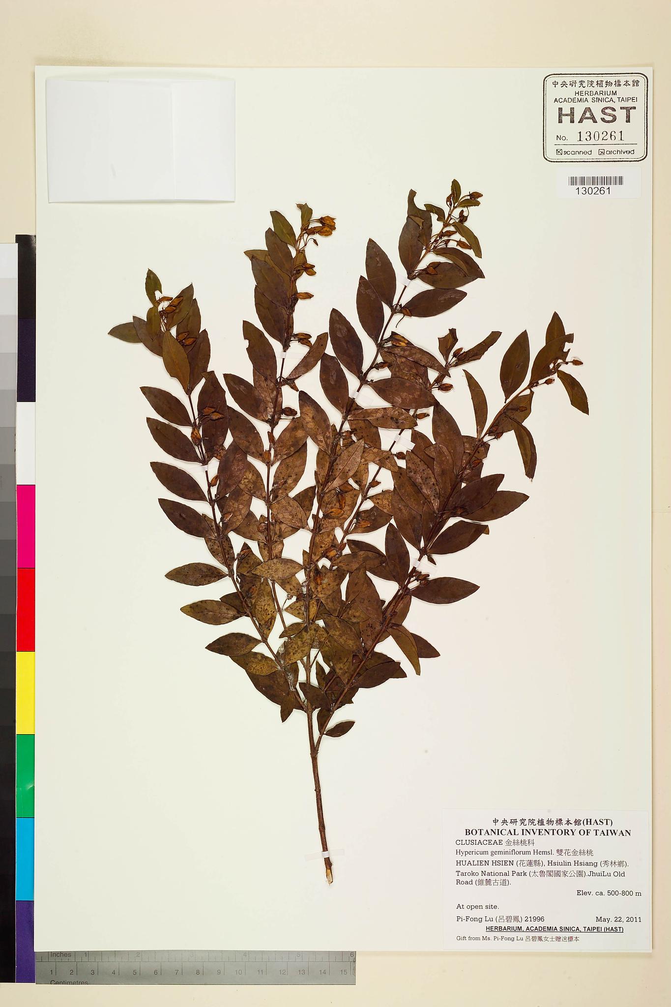 Sample image for viewer