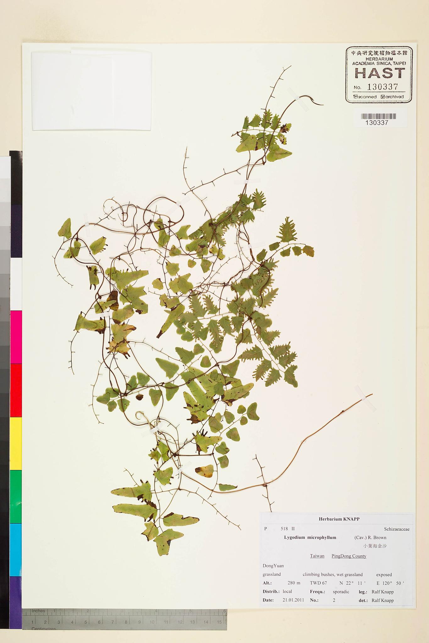 Sample image for viewer