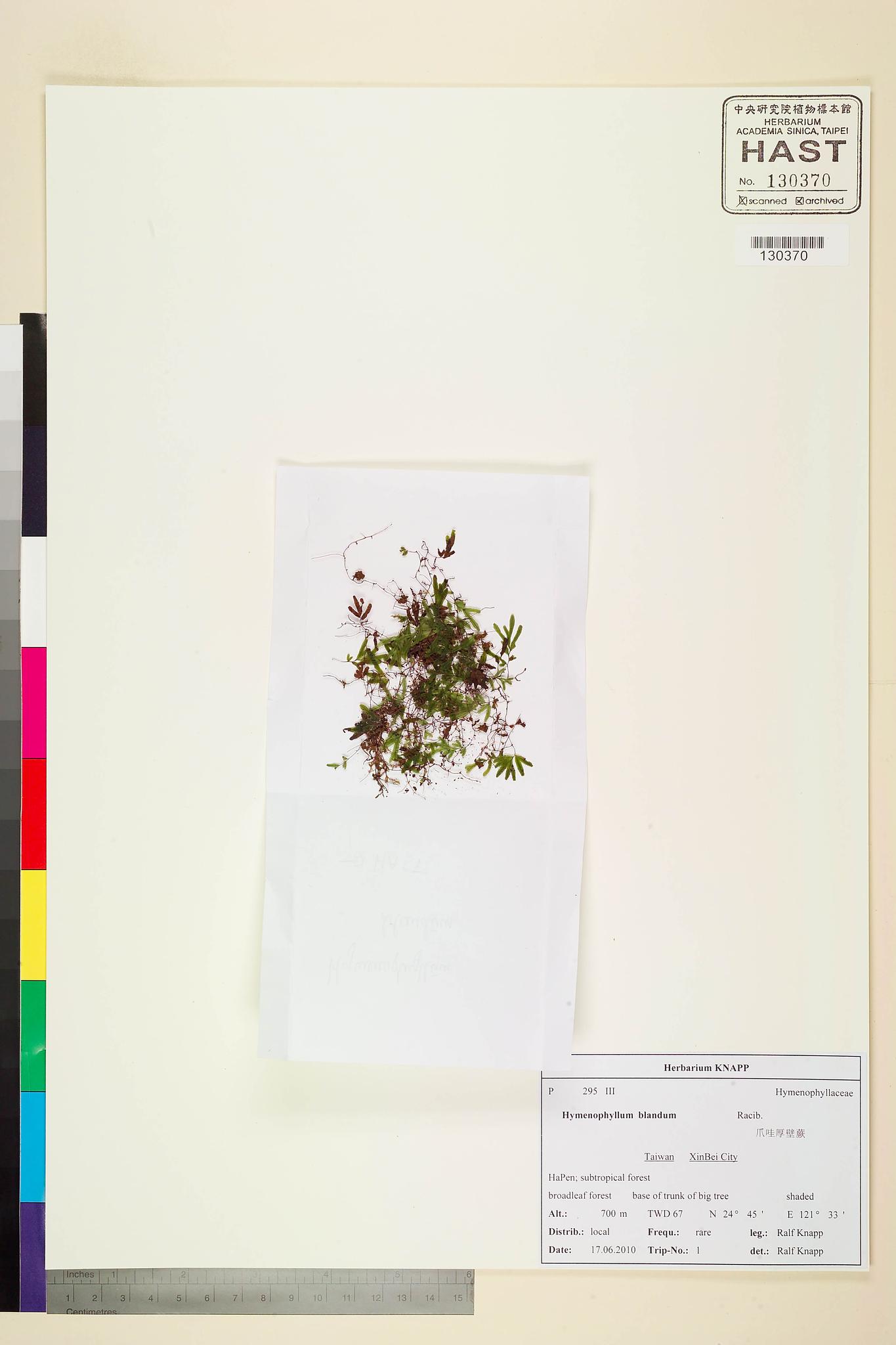 Sample image for viewer