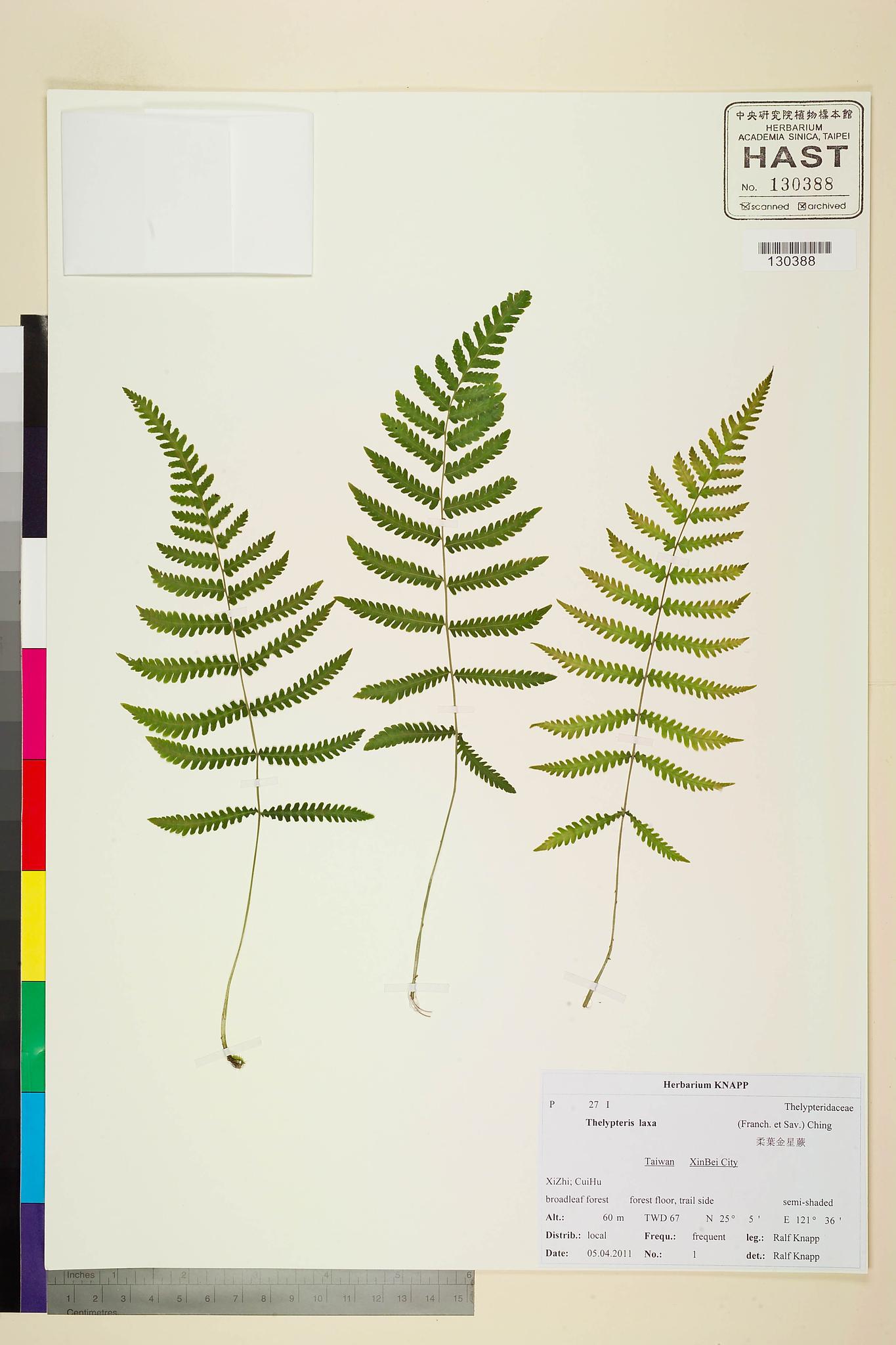 Sample image for viewer