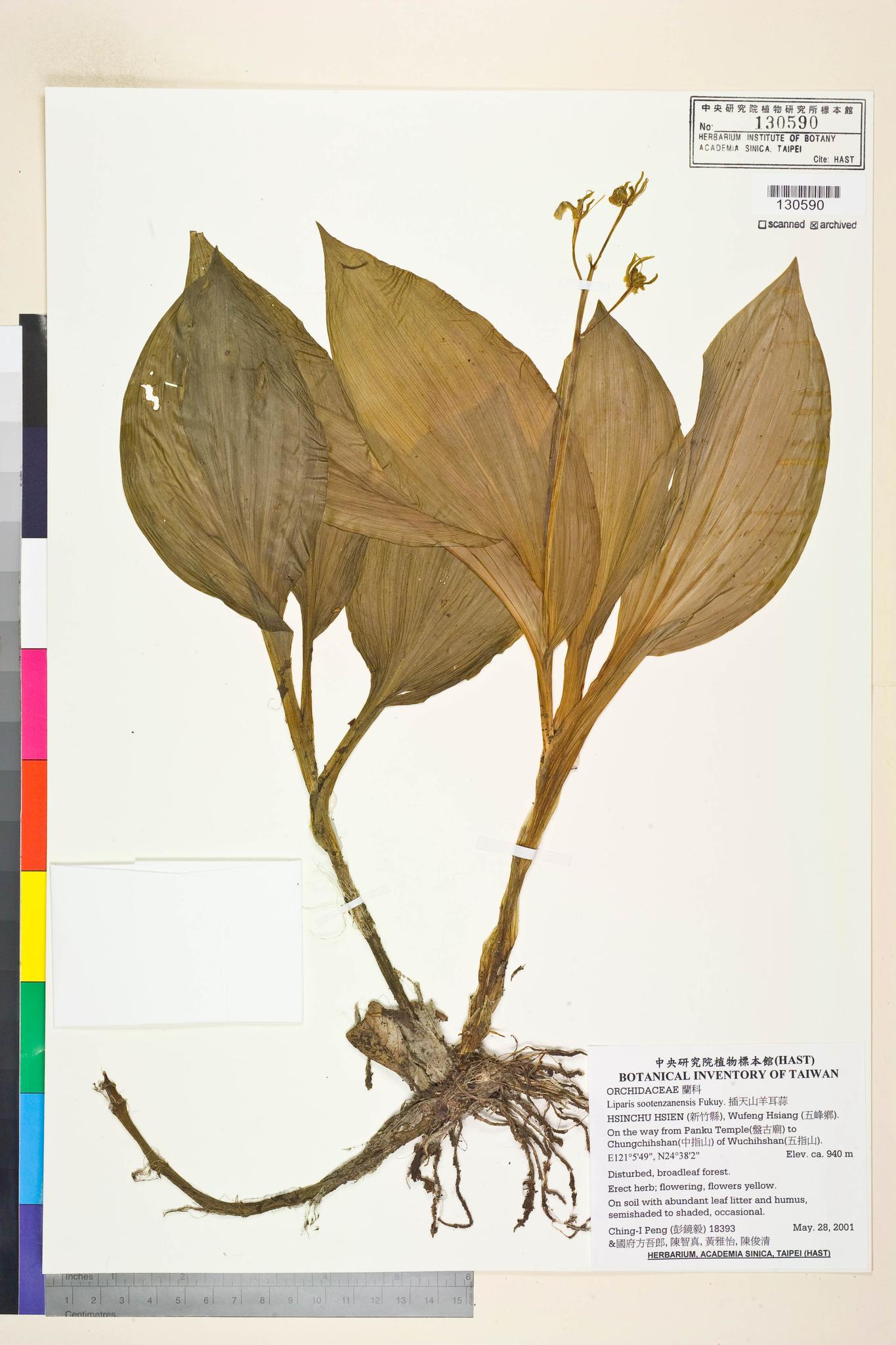 Sample image for viewer