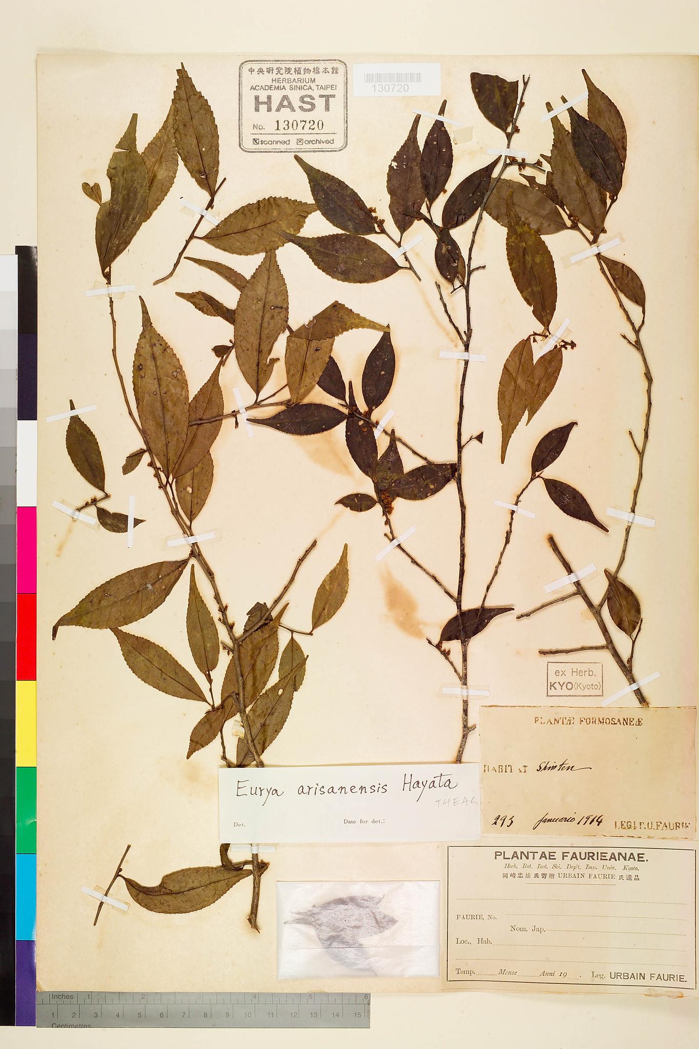 Sample image for viewer