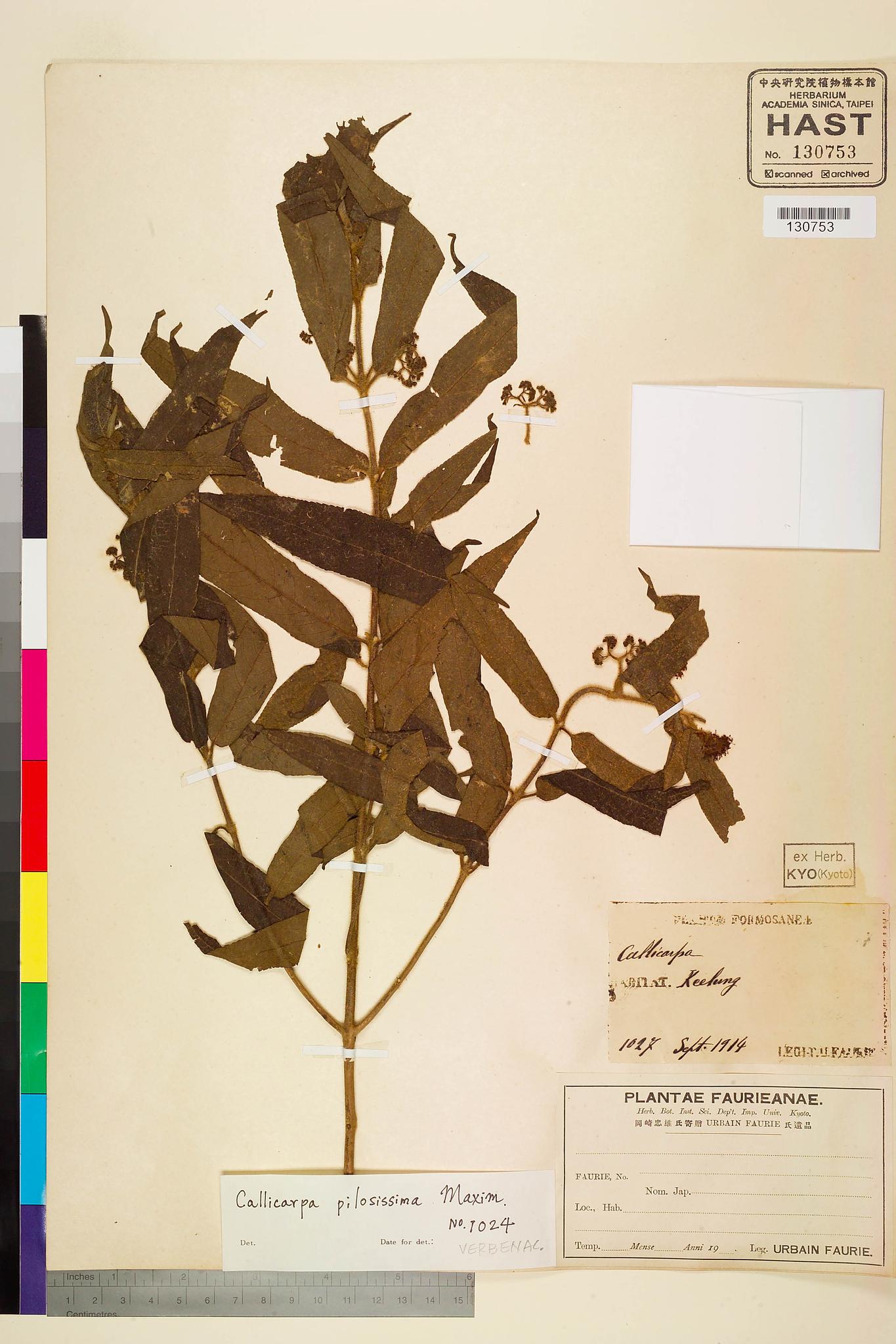 Sample image for viewer