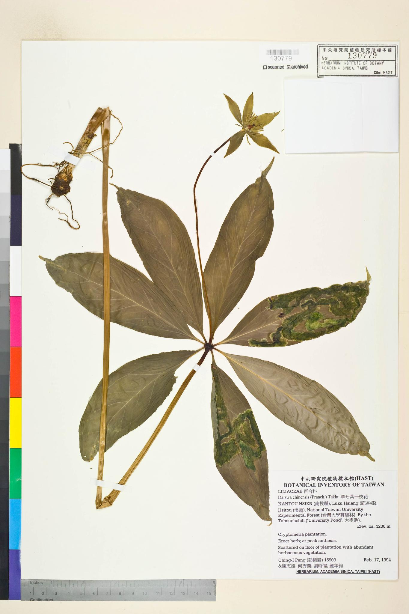 Sample image for viewer