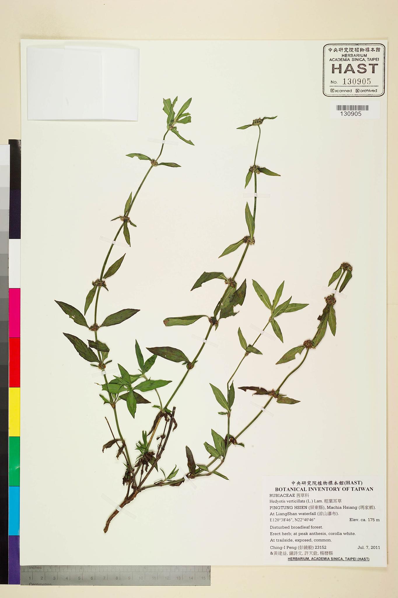 Sample image for viewer