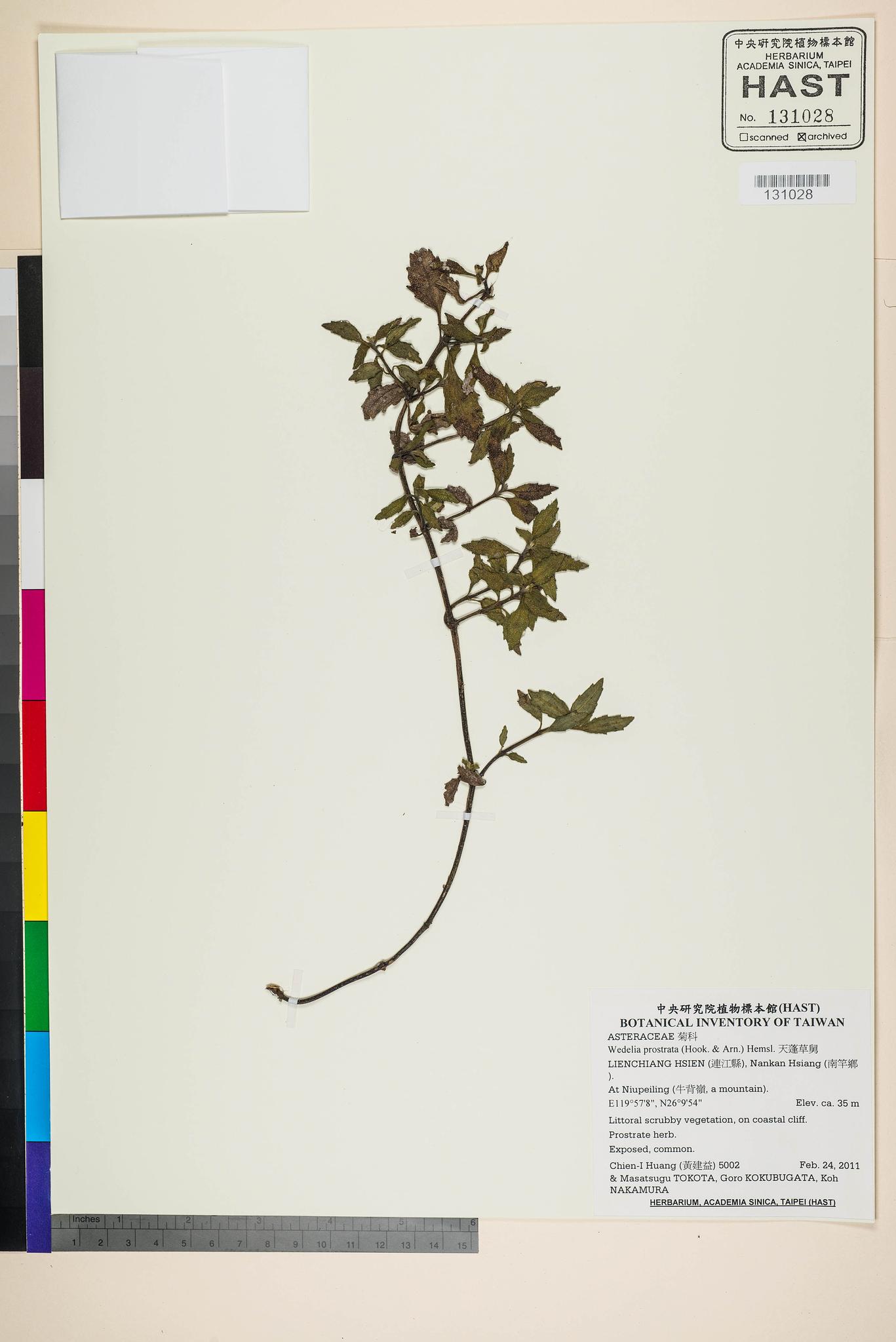 Sample image for viewer