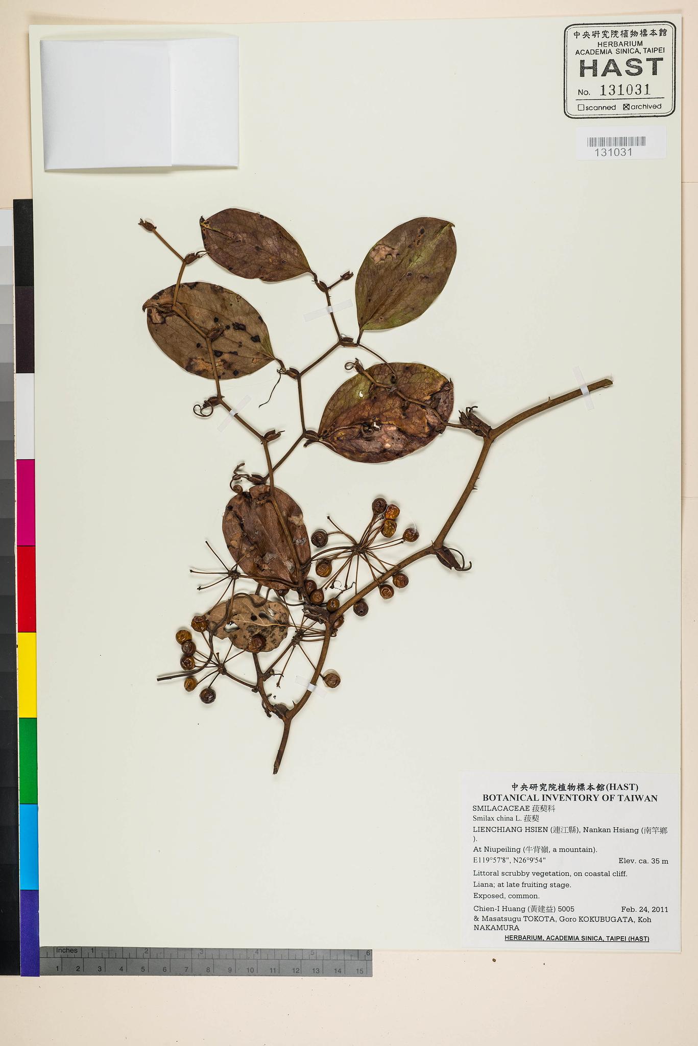 Specimen image