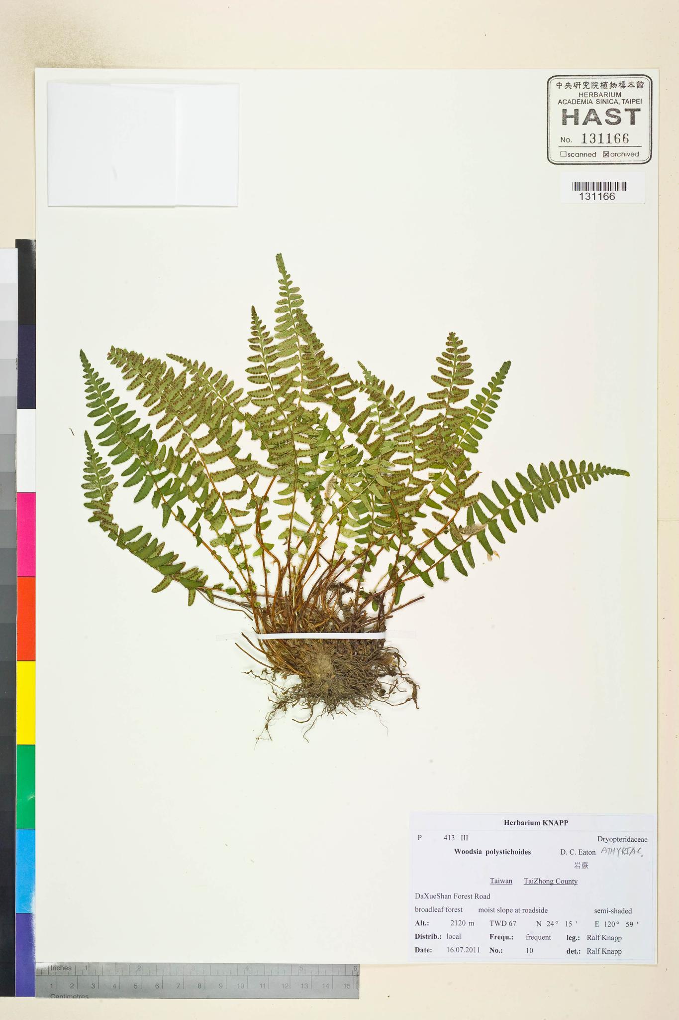 Sample image for viewer