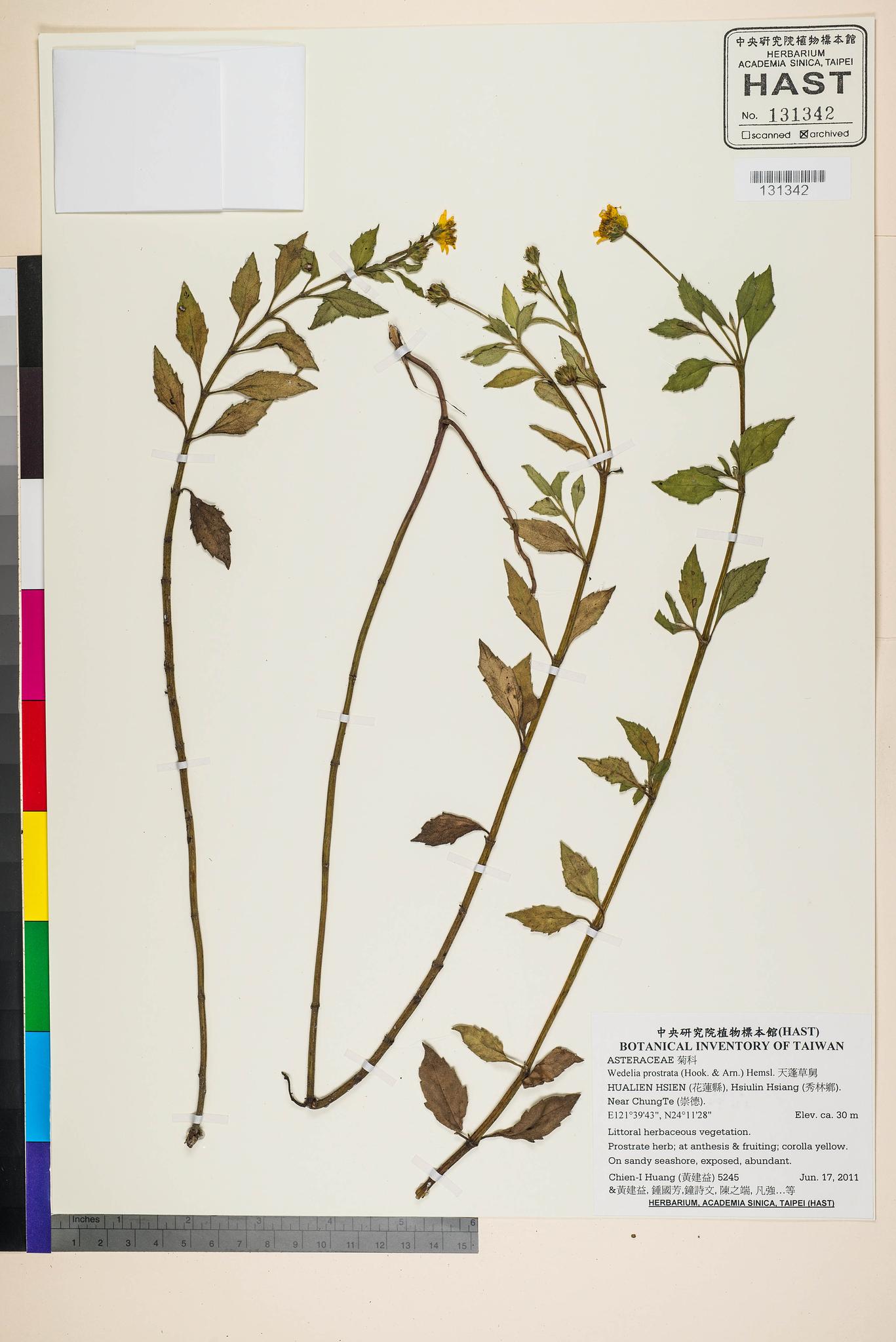 Specimen image