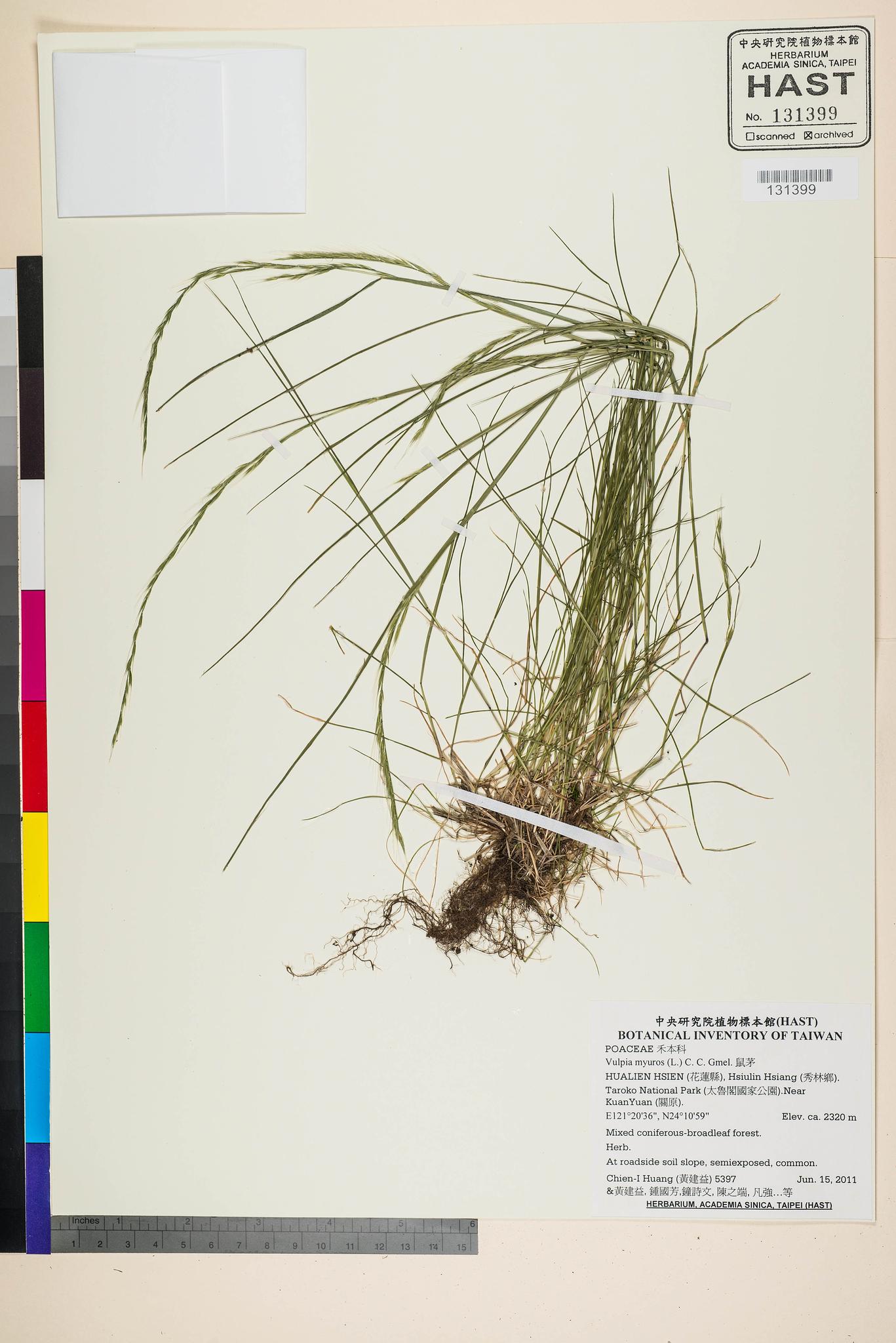 Sample image for viewer