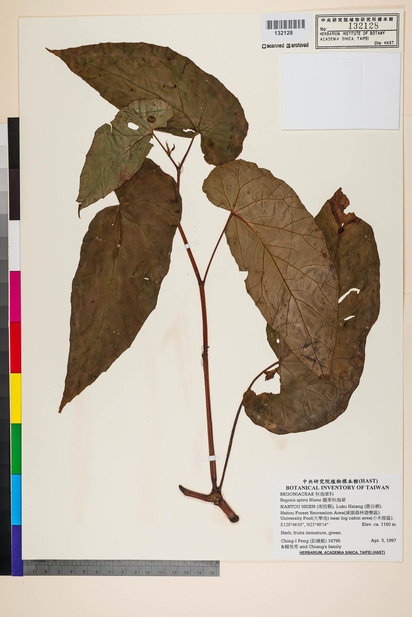 Sample image for viewer