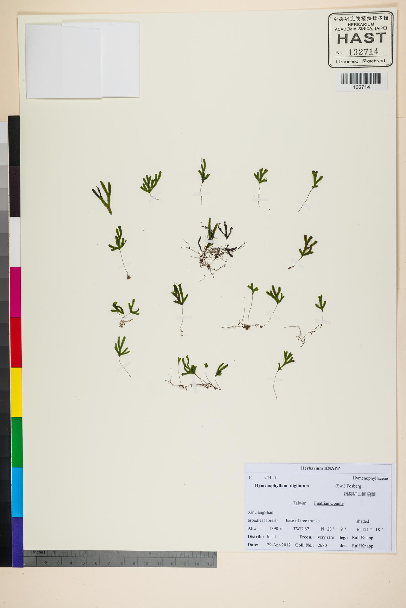 Sample image for viewer