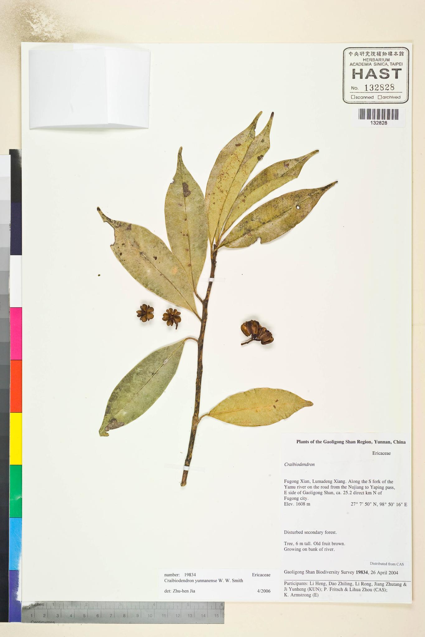 Sample image for viewer