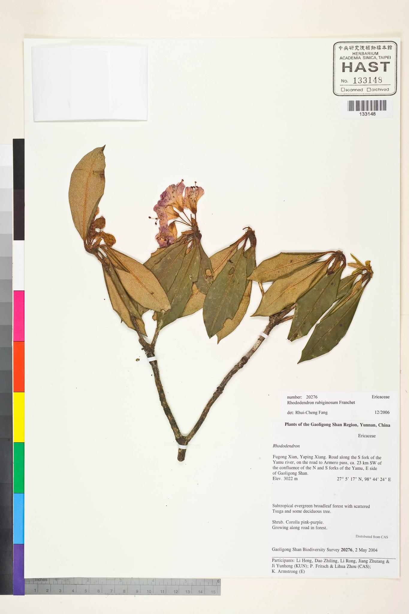 Sample image for viewer