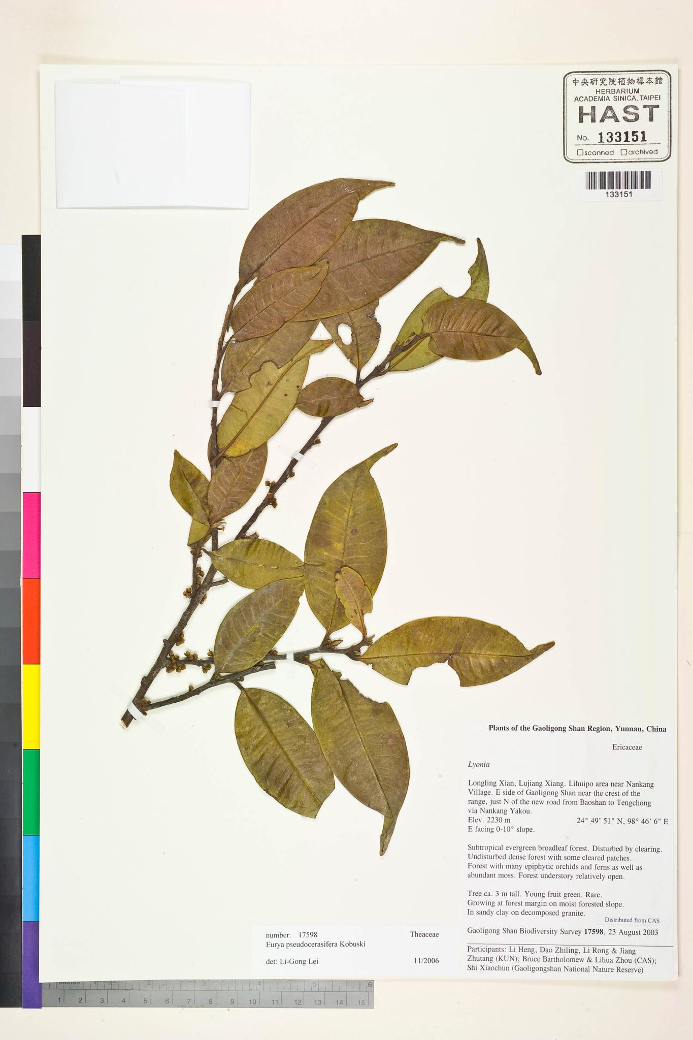 Sample image for viewer