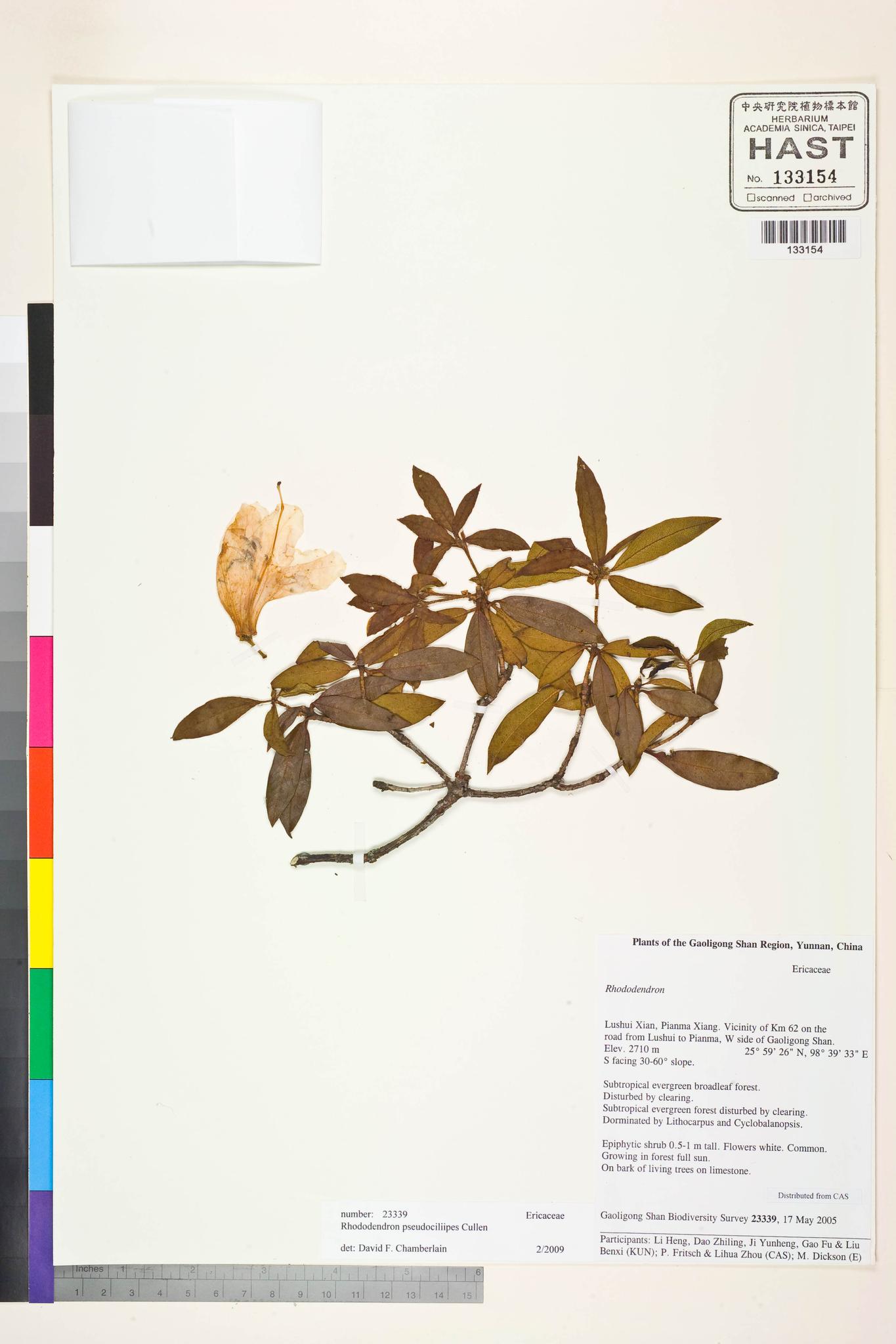 Sample image for viewer