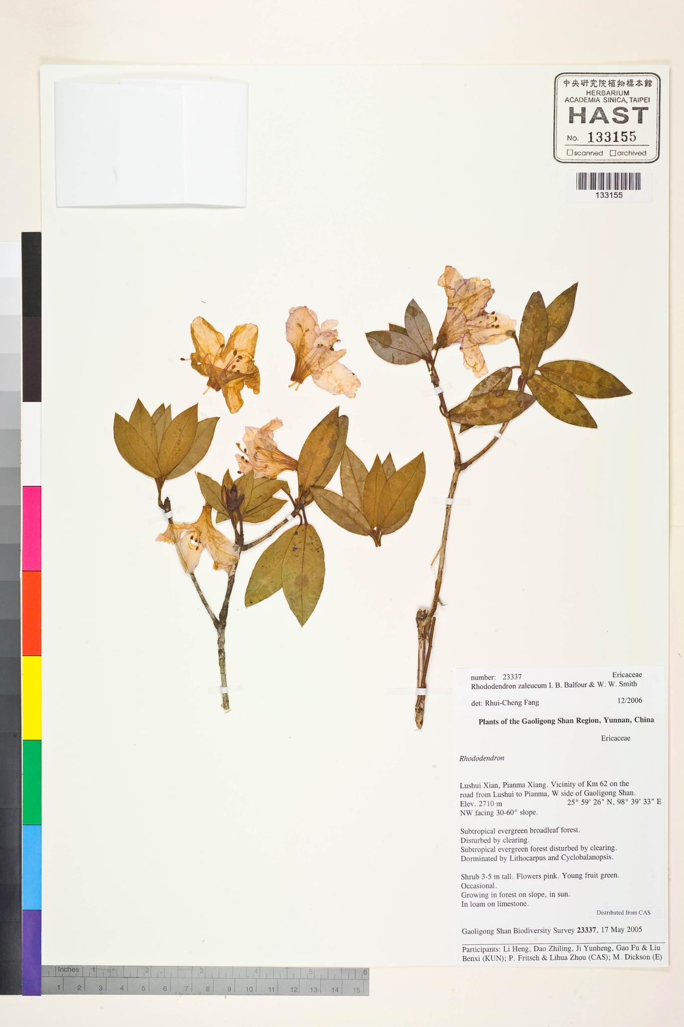 Sample image for viewer