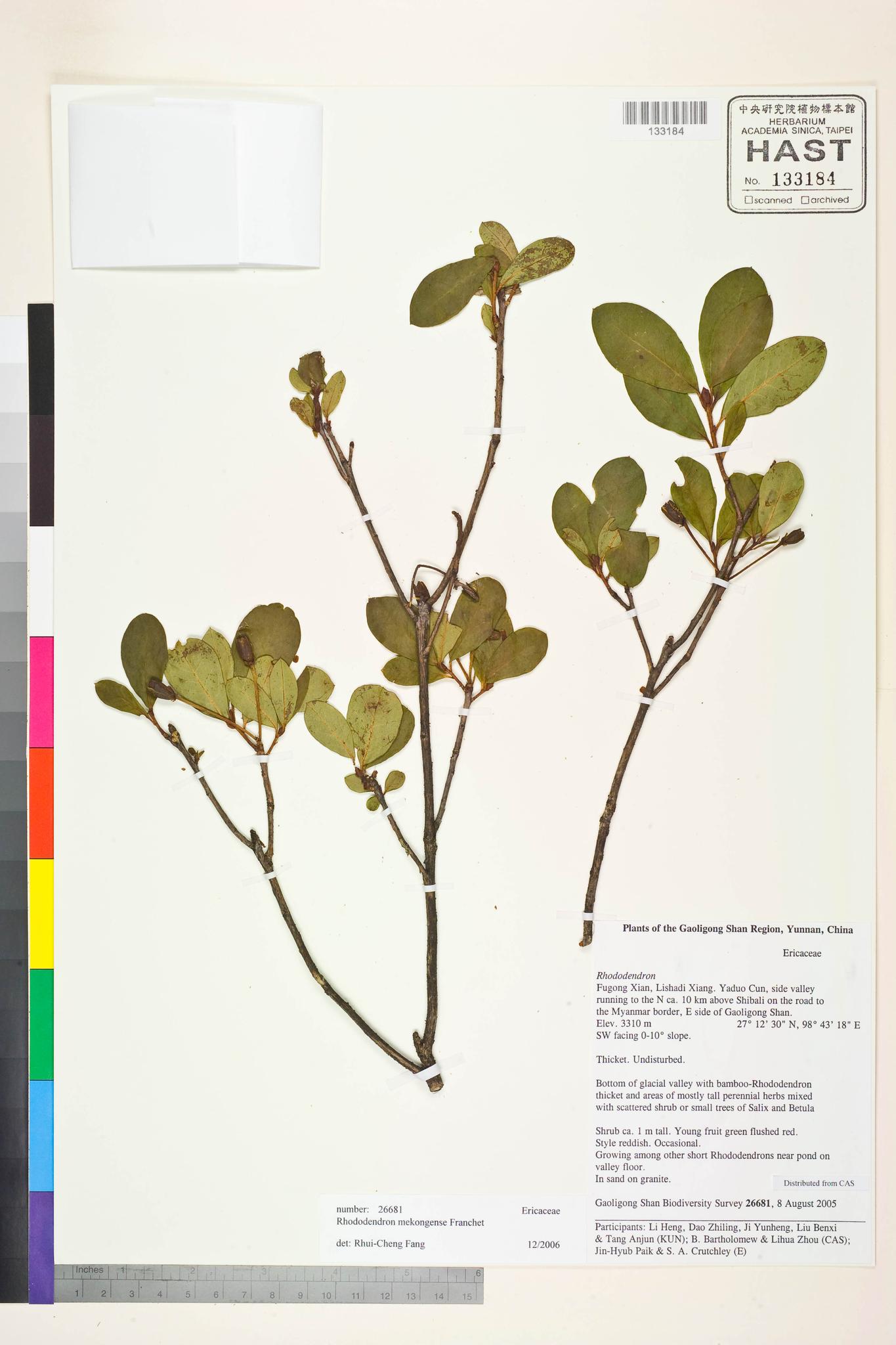 Sample image for viewer