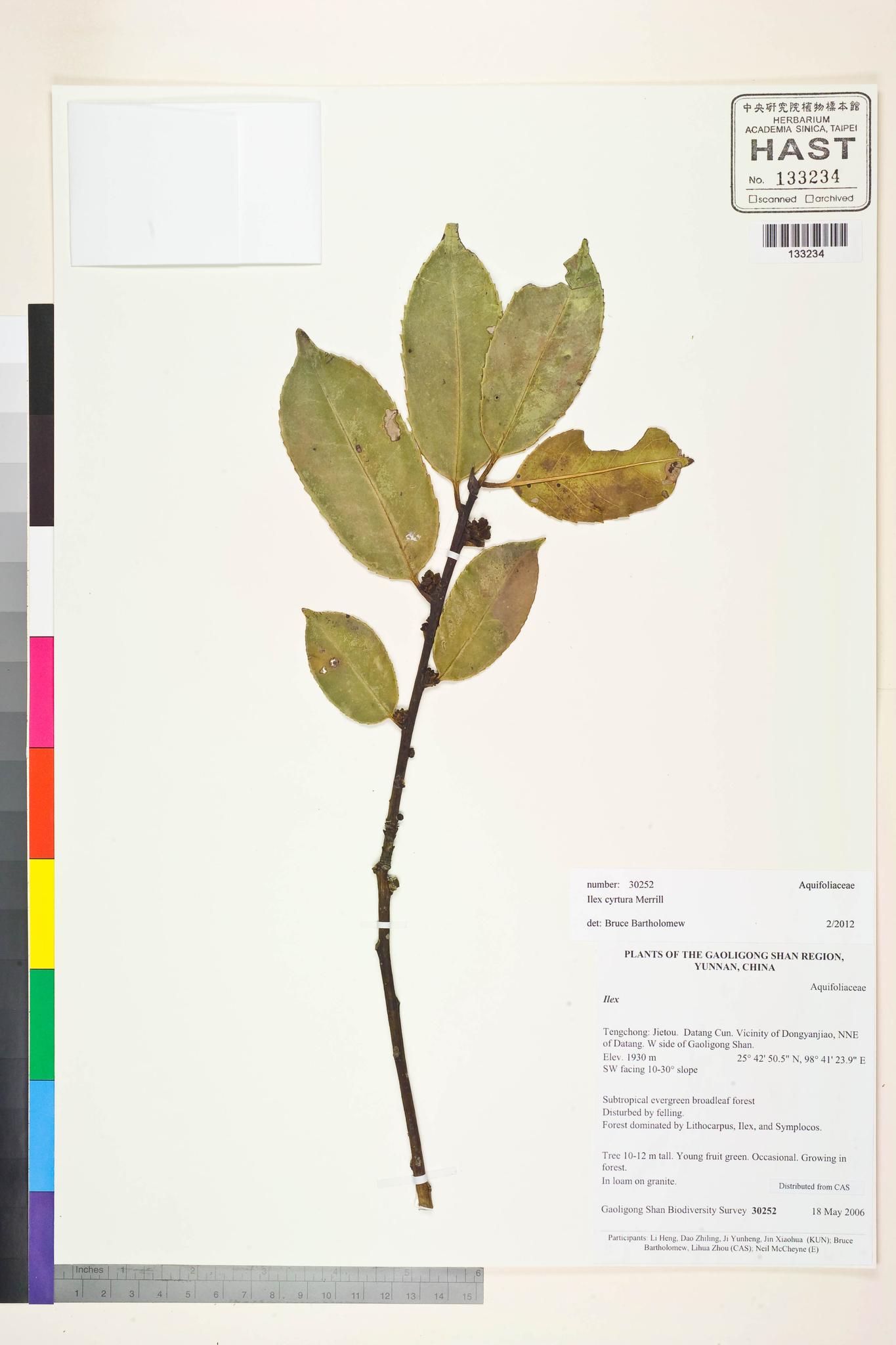 Sample image for viewer