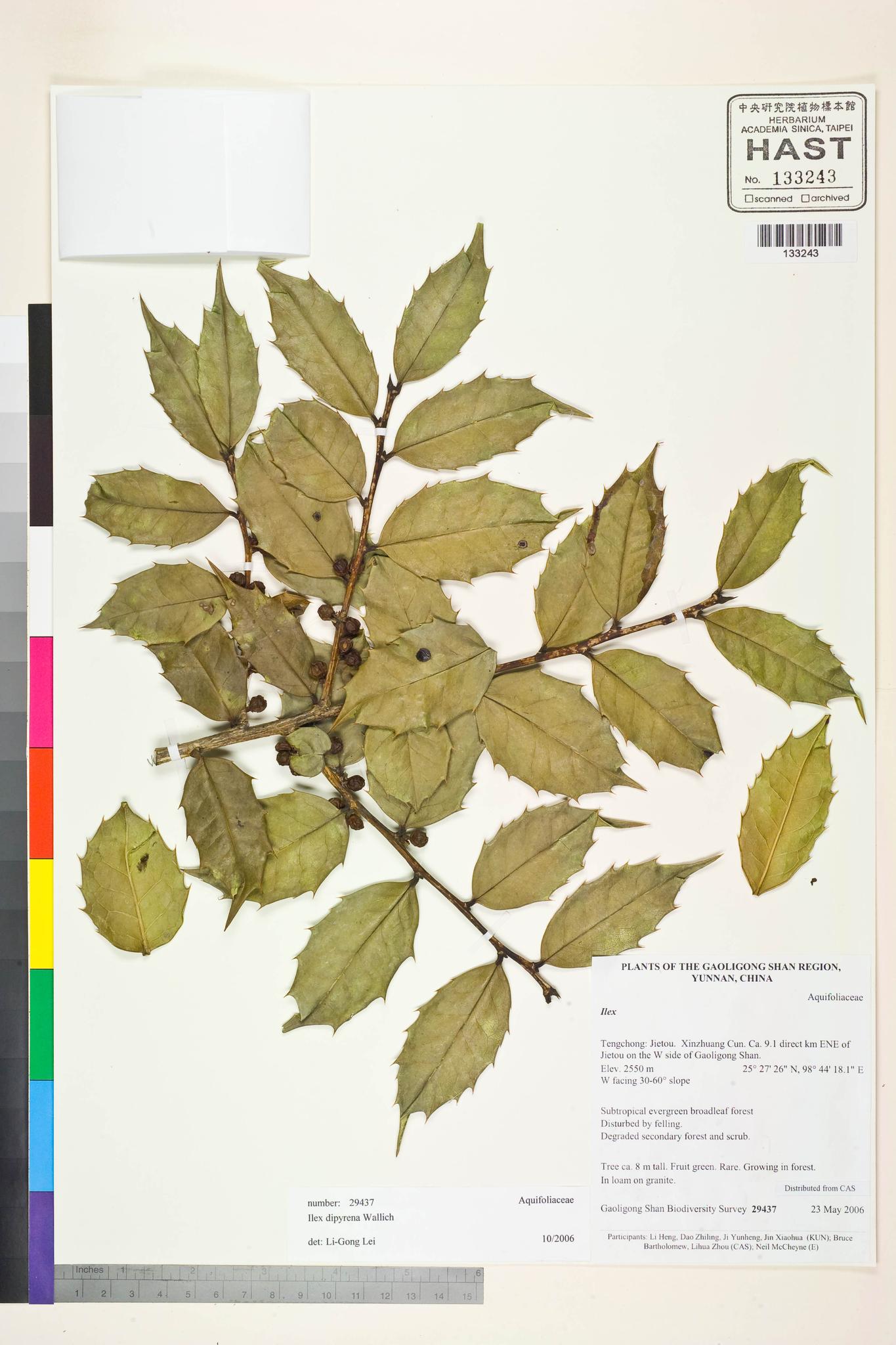 Sample image for viewer