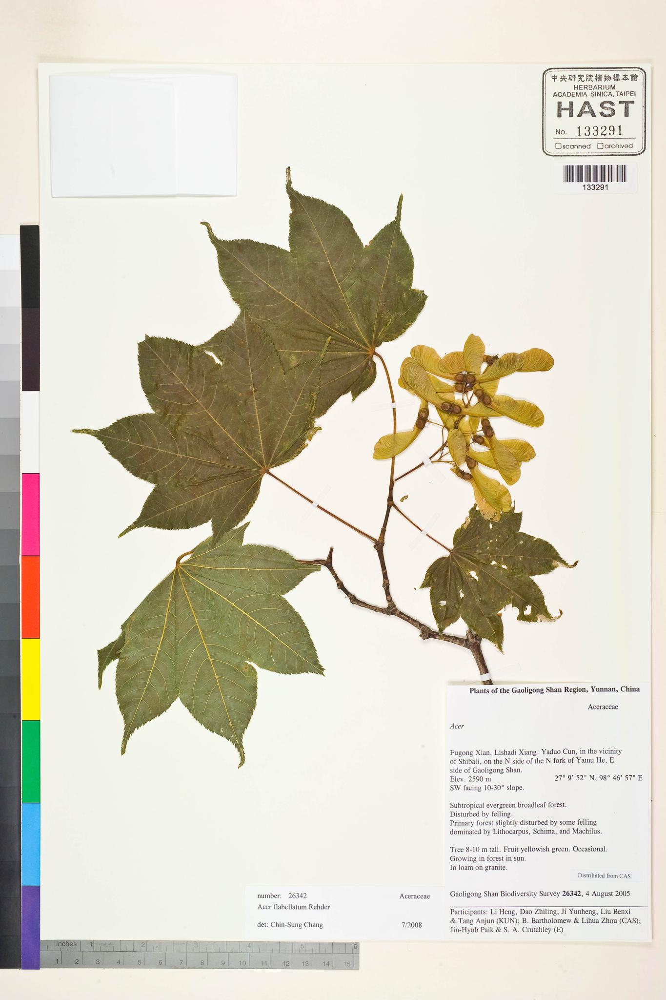 Sample image for viewer