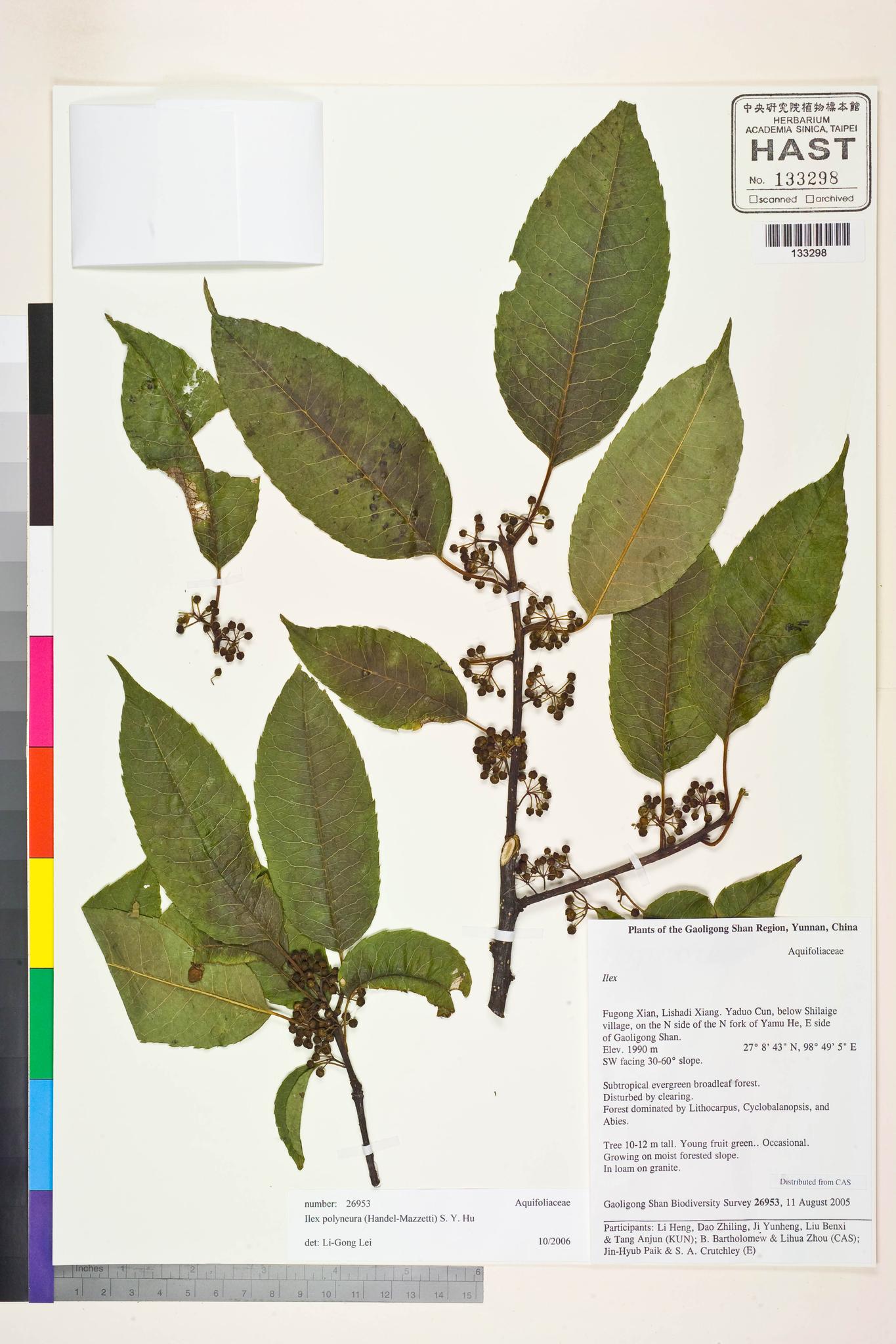 Sample image for viewer