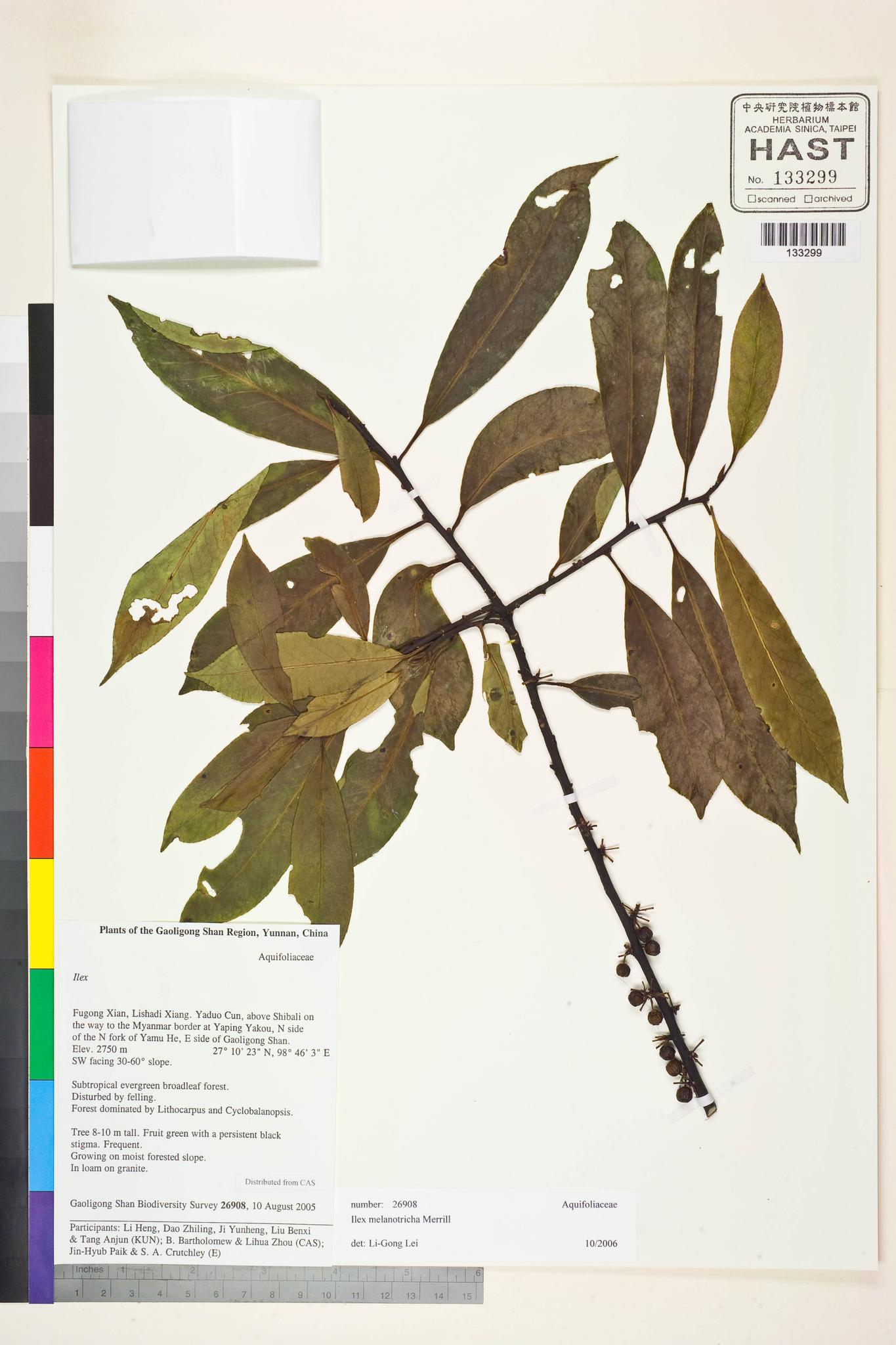 Sample image for viewer