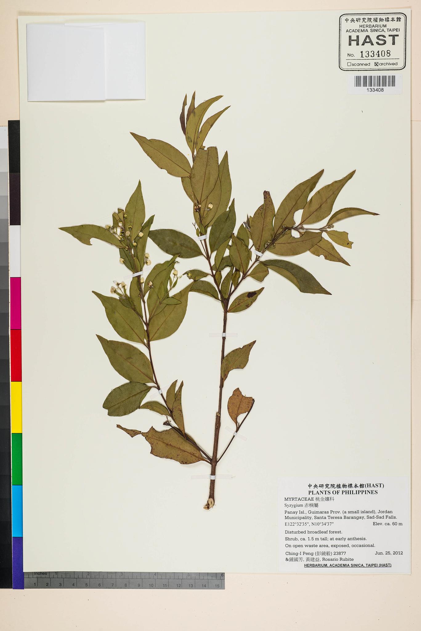 Sample image for viewer