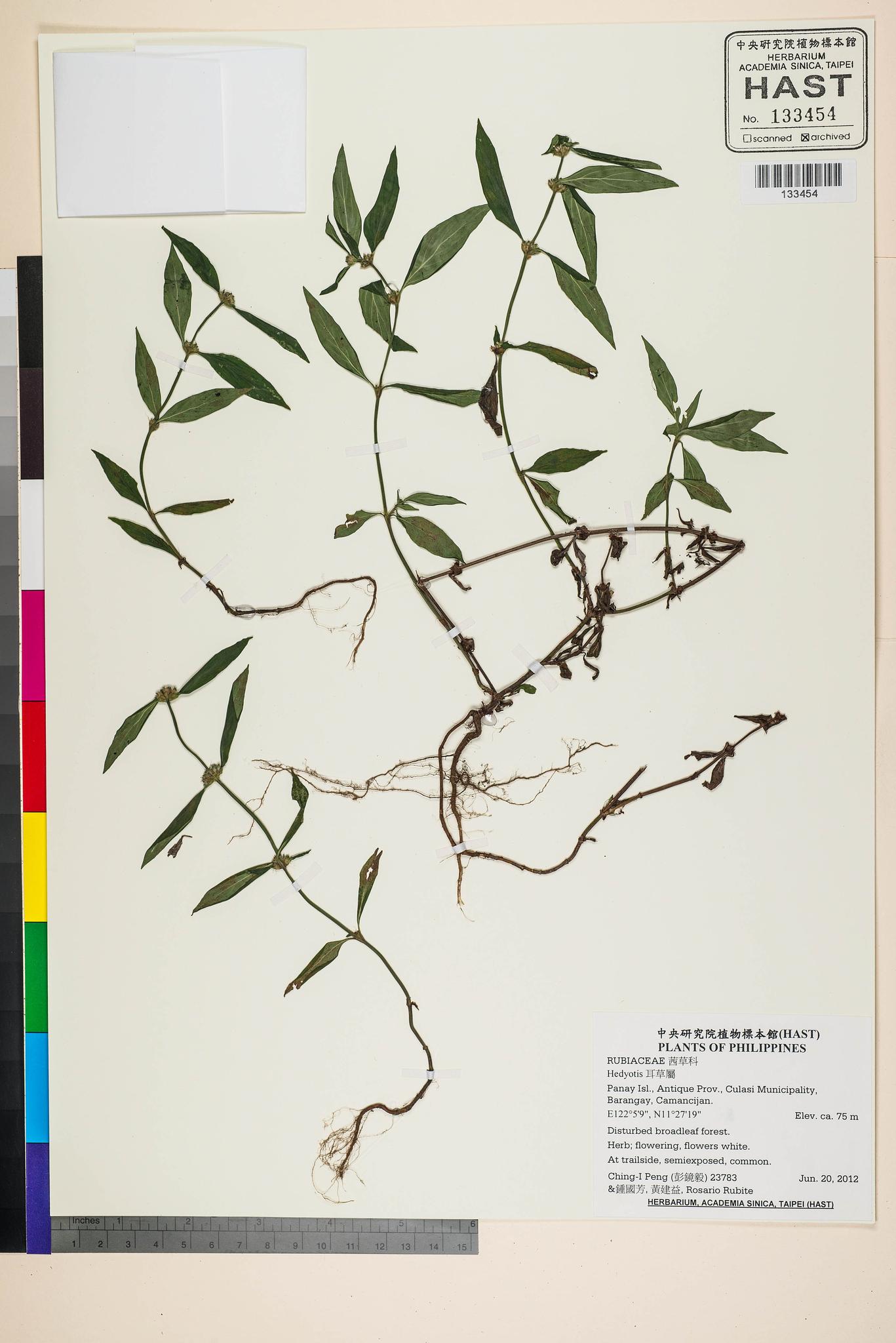 Sample image for viewer