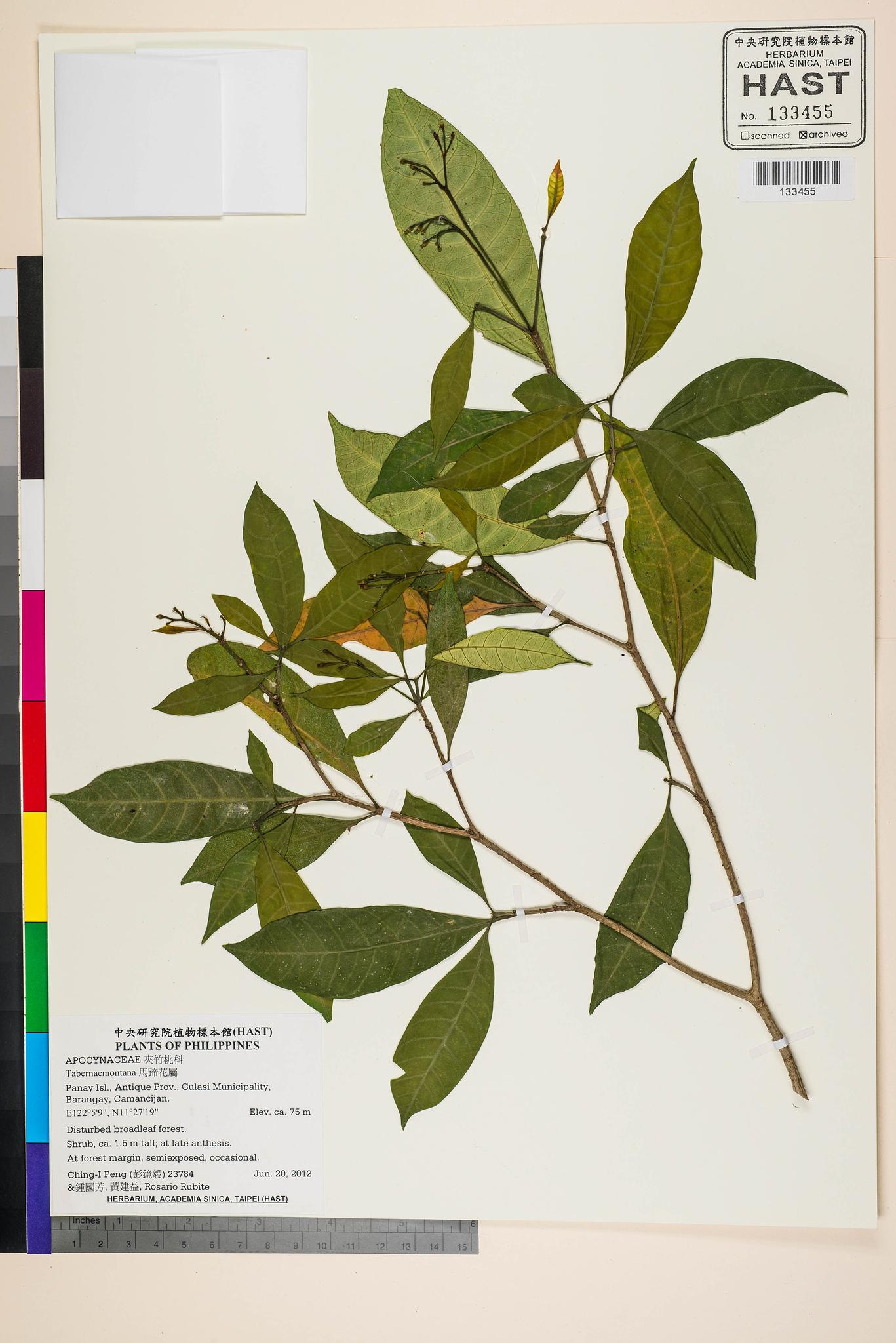 Sample image for viewer