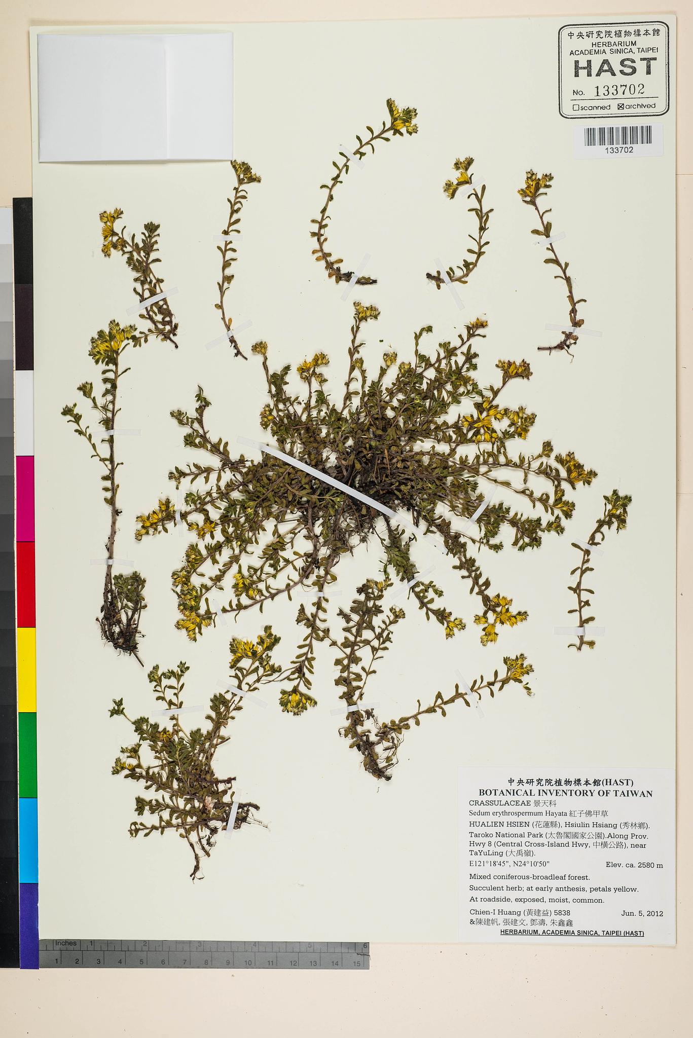 Sample image for viewer