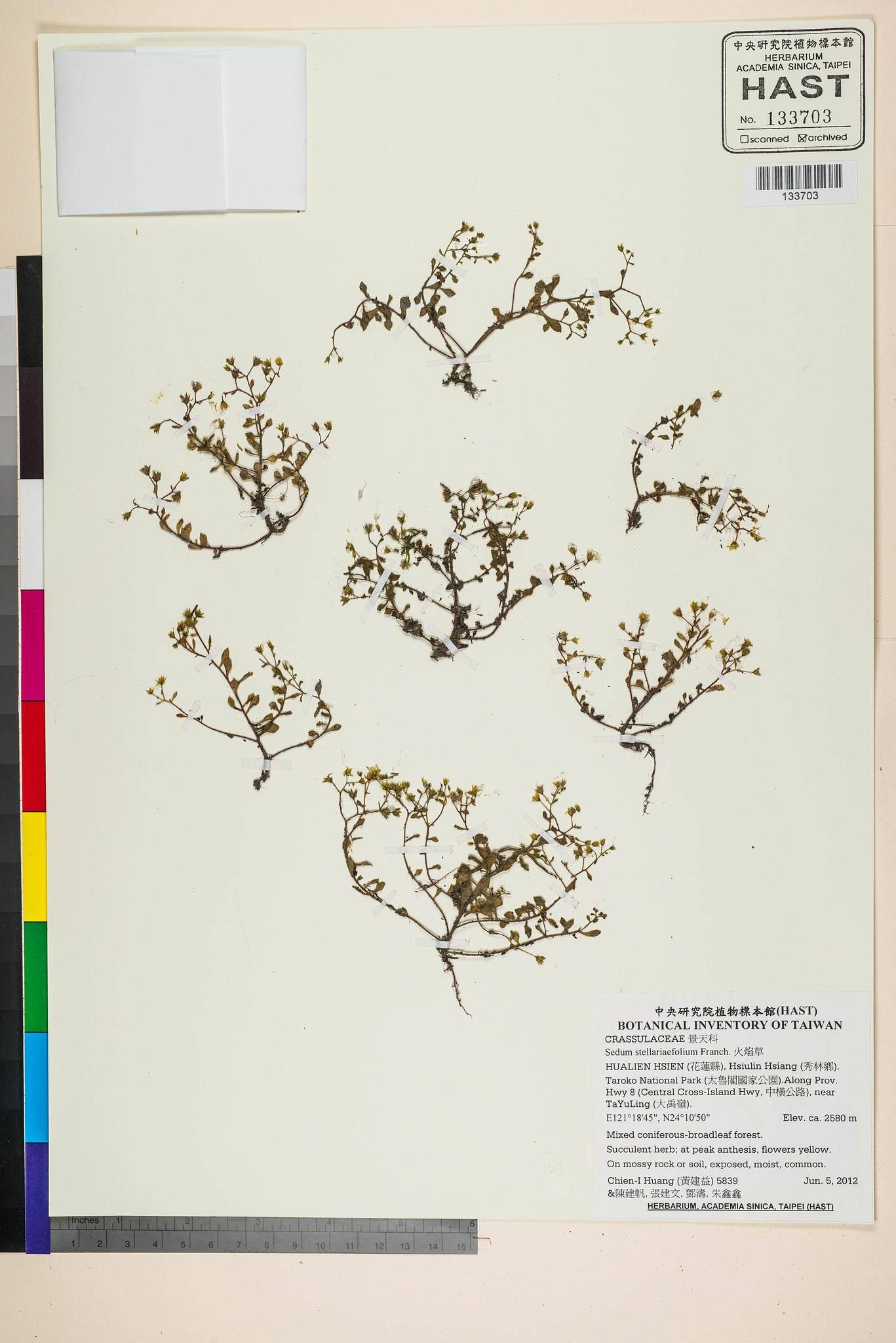 Sample image for viewer