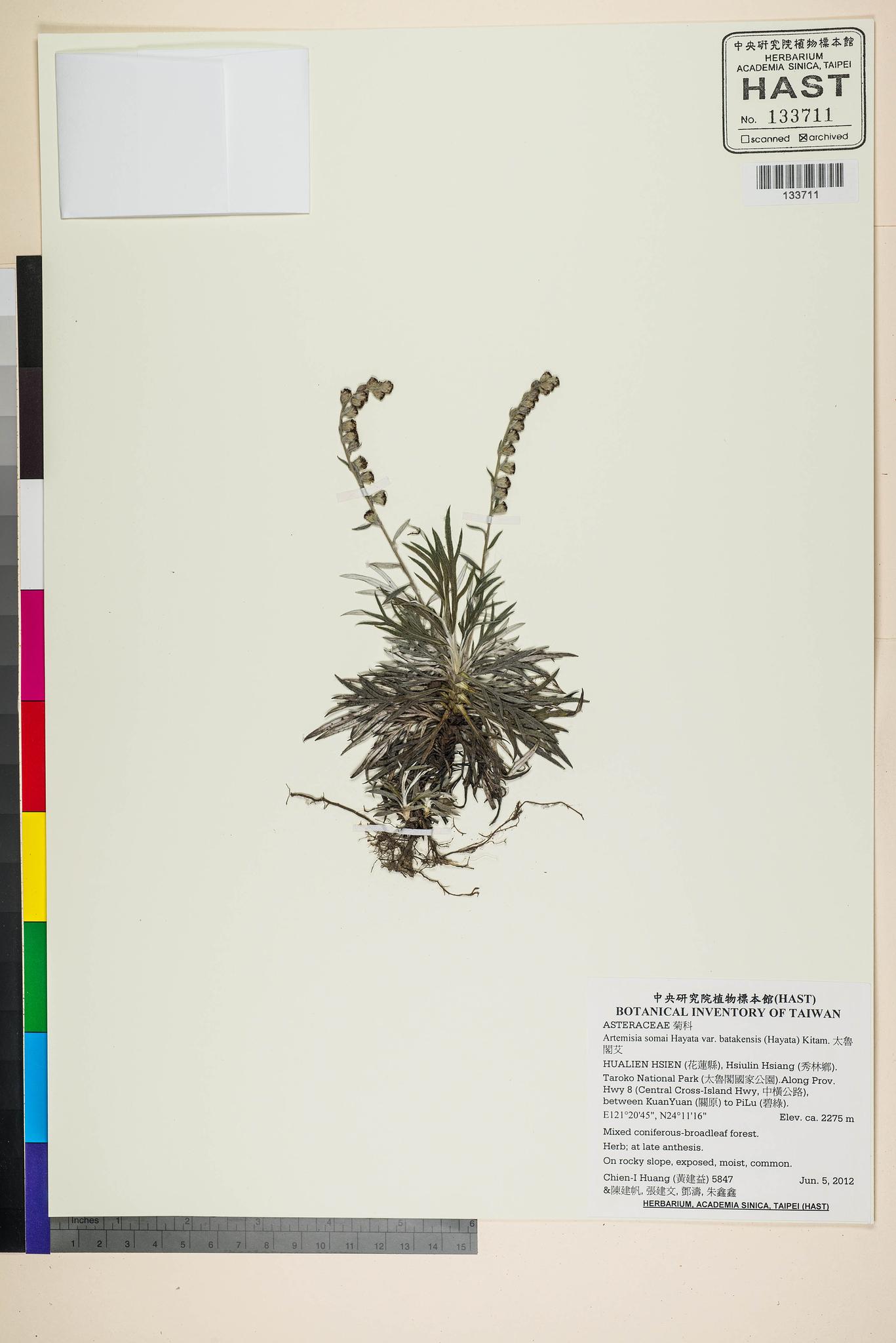 Sample image for viewer