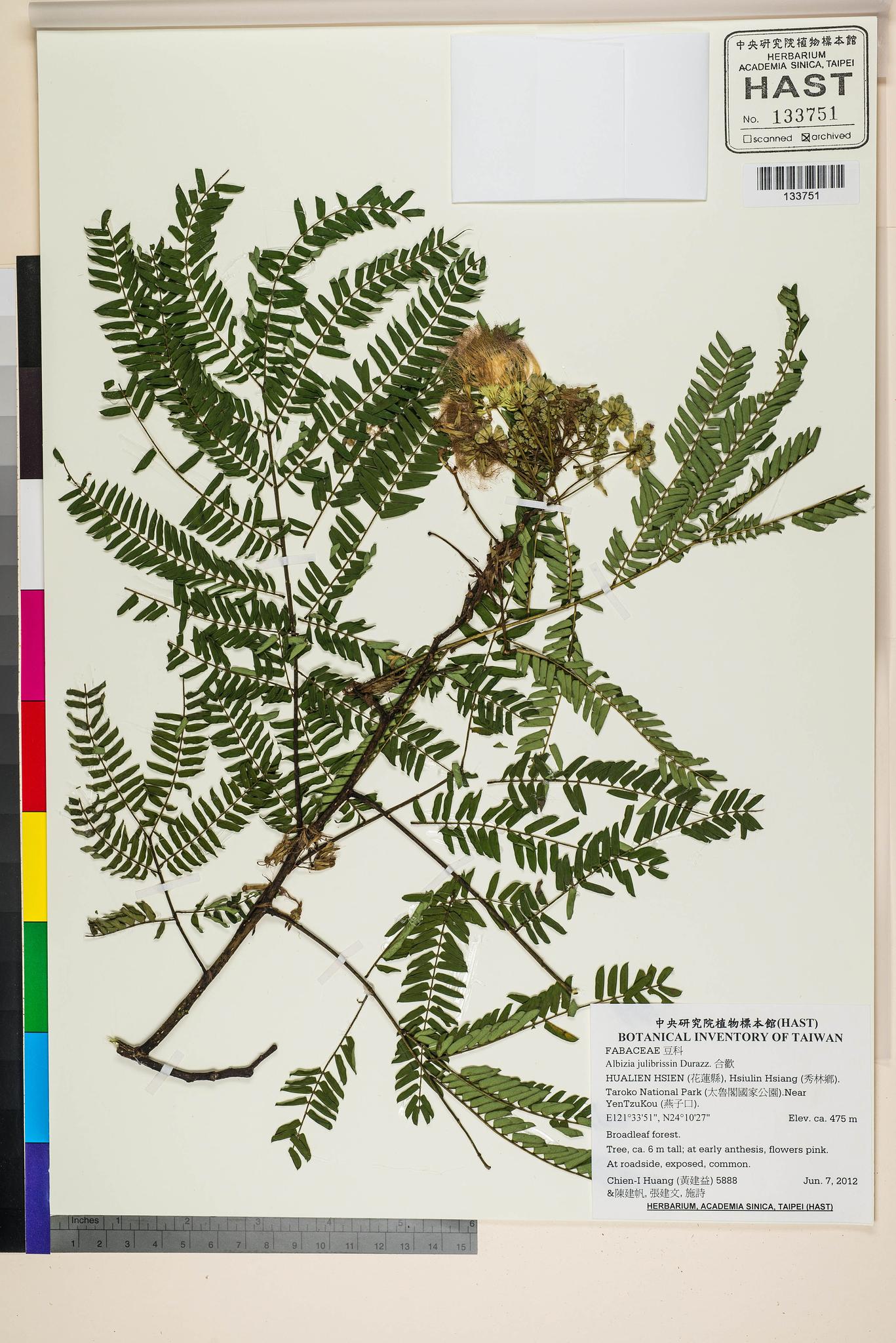 Sample image for viewer