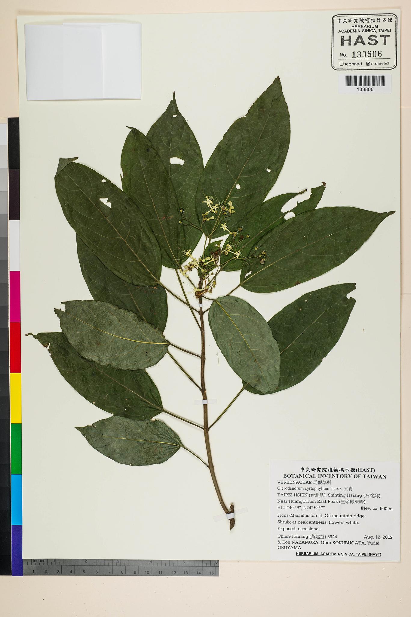 Sample image for viewer