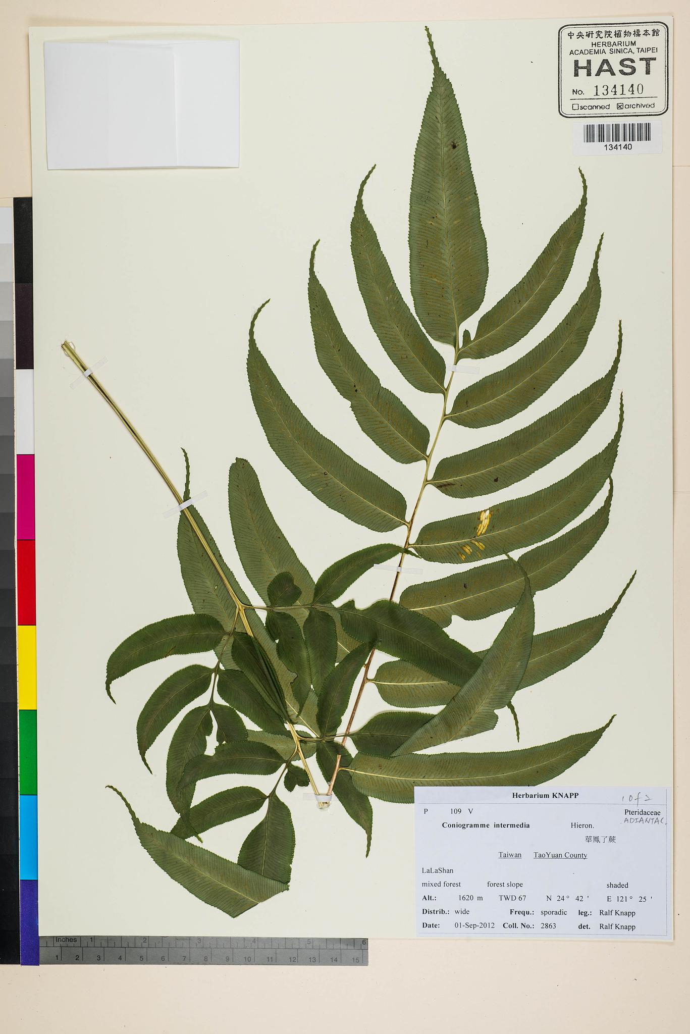 Sample image for viewer