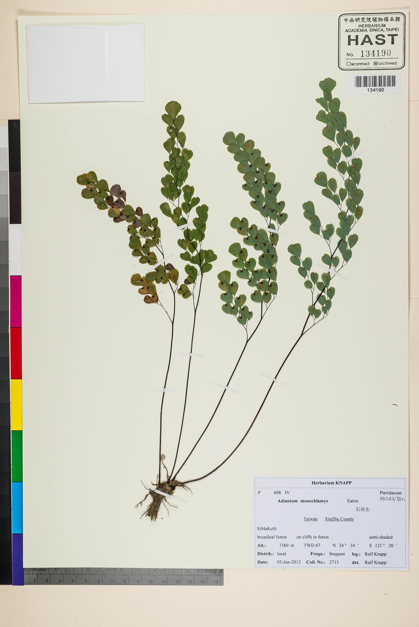 Sample image for viewer